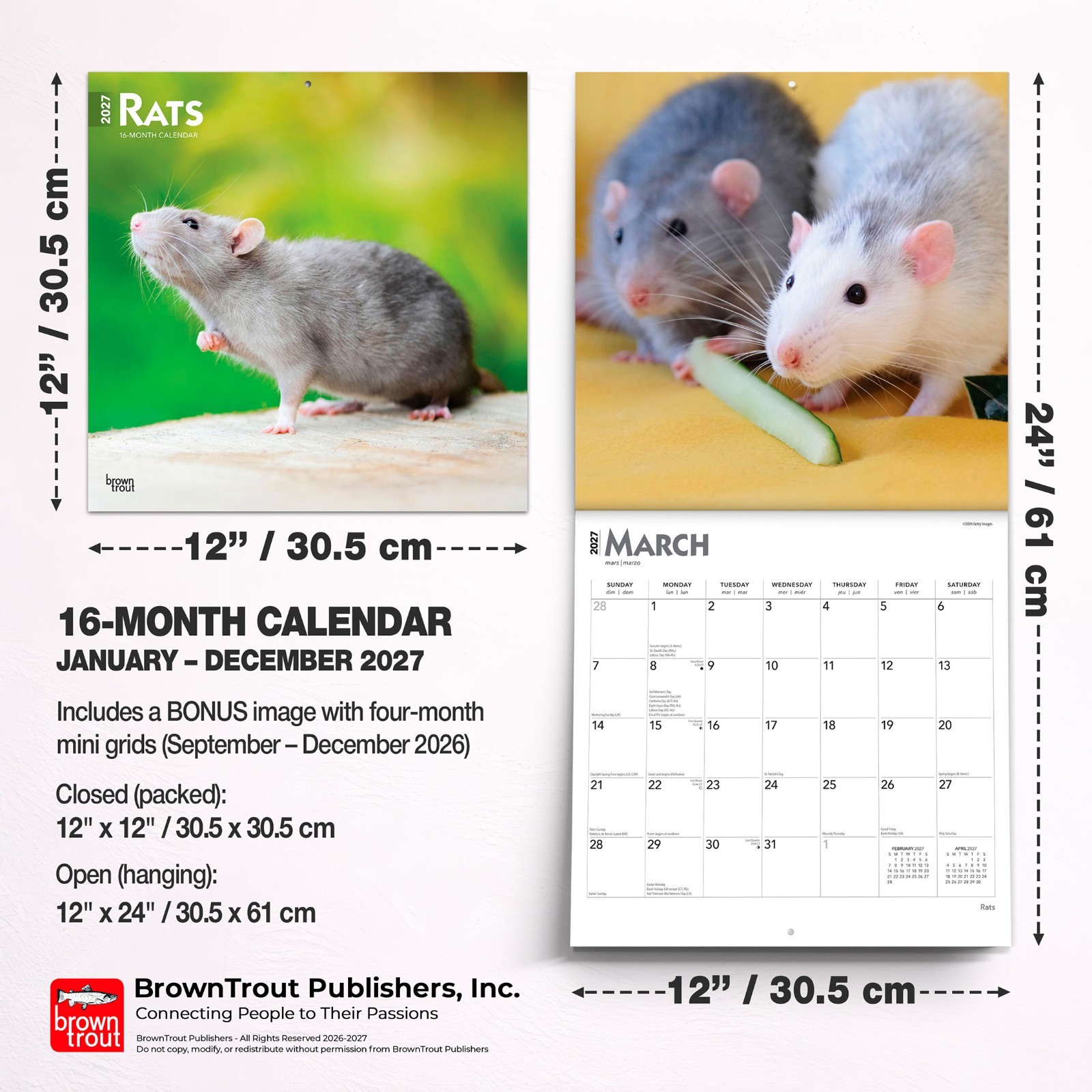 Rats | 2027 12×24″ (Hanging) Monthly Square Wall Calendar | Plastic-Free