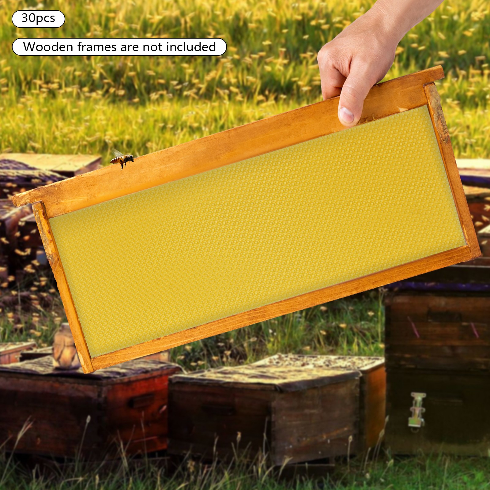 Bee Hive Foundation Honey Hive Equipment Deep House Nest Honeycomb Wax Frame