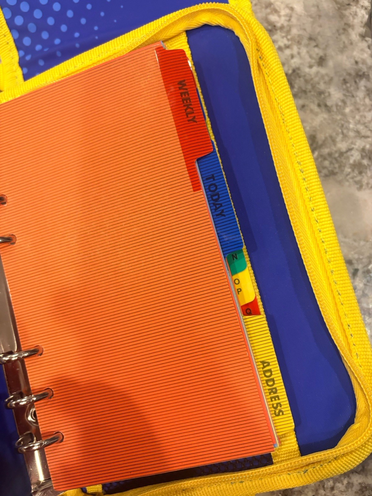 Veggie Tales Day Planner Kids Zipper Notebook Organizer Address Book Shoulder
