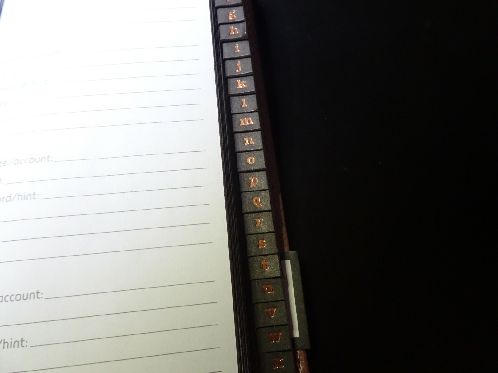 Hallmark Beautiful Rose Gold Key Sim Leather Password Keeper, 3.25″ x 6.25″
