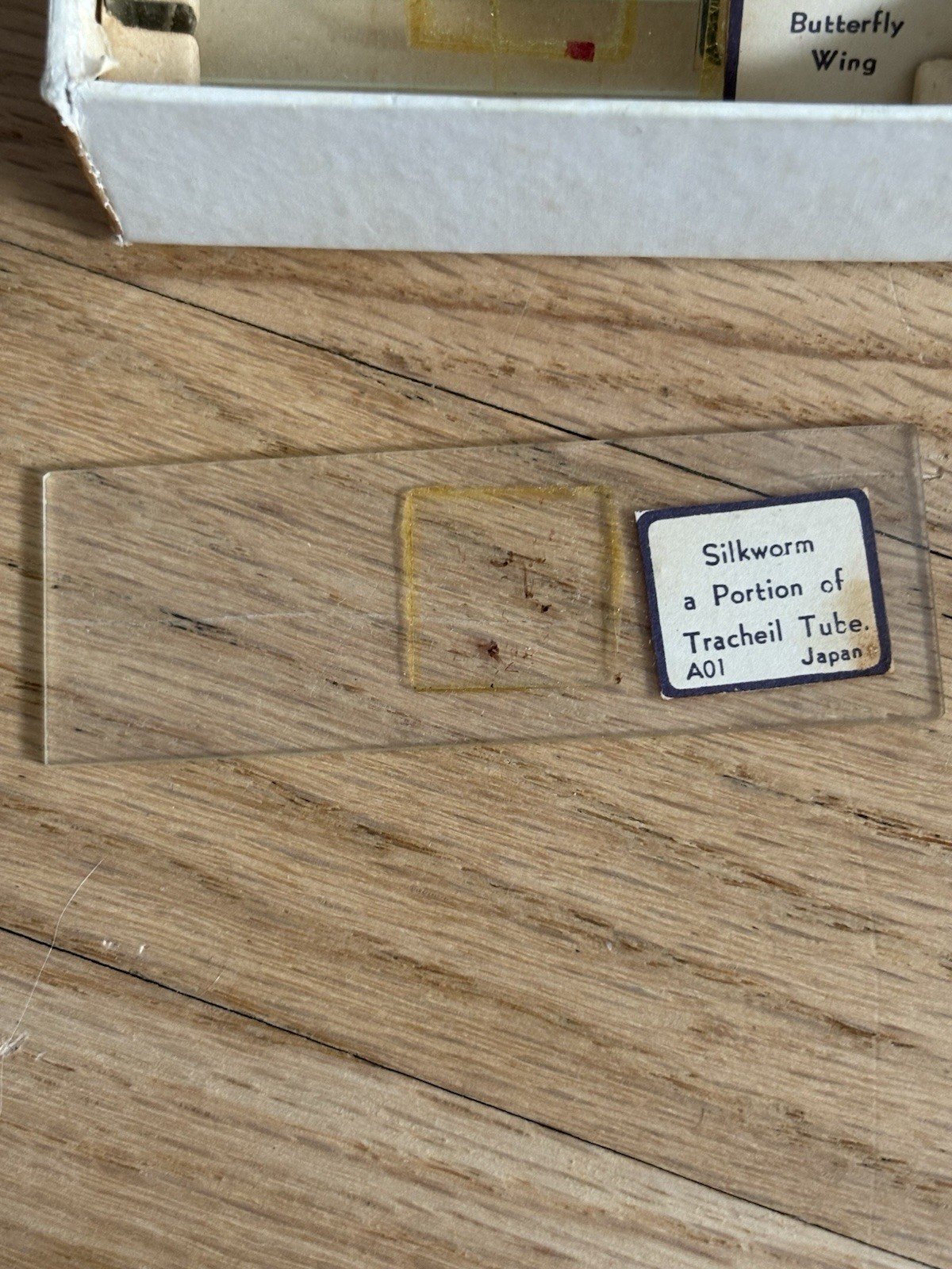 Prepared But Slides for Science Education