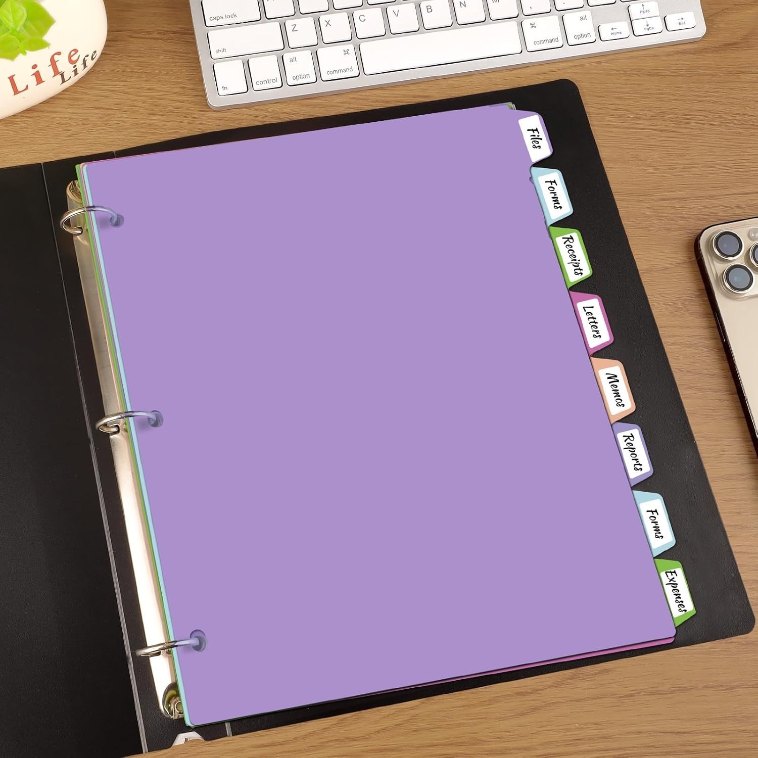 16Pcs/2 Set Binder Dividers with Tabs, 8 Color Tab for 3 Ring Binder Dividers…