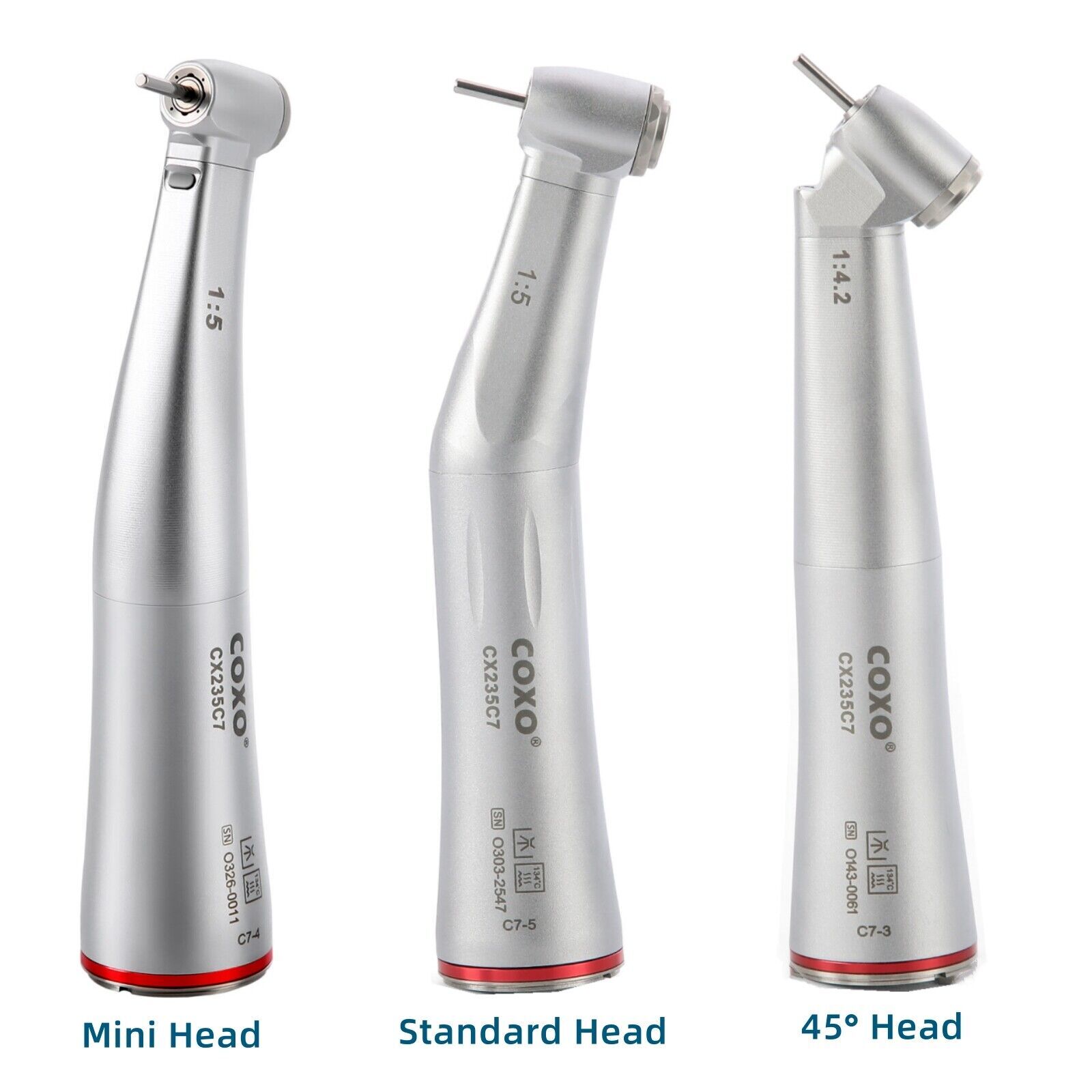 COXO C PUMA Master Dental Brushless Electric Endo Motor 6:1 1:5/1:4.2 Handpiece