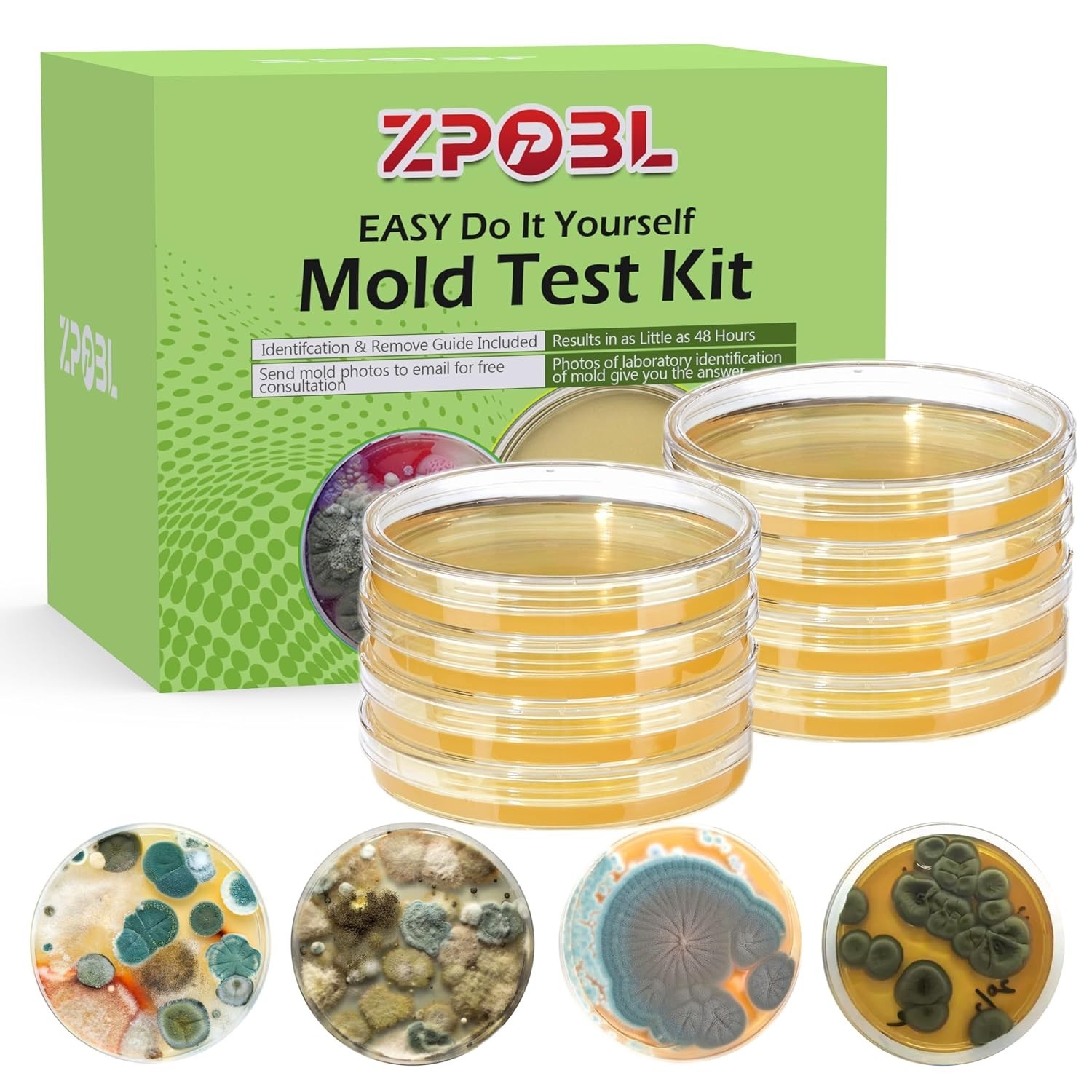 Home Mold Test Kit 8 Detection Tests for Indoor Air HVAC Surfaces with Lab Analy