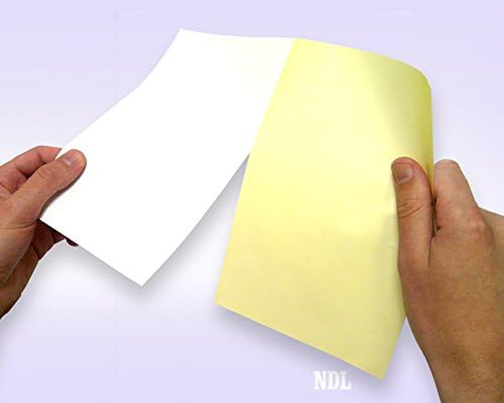 – Pack of 500 Sheets 8-1/2 X 11″ 2-Part Perforated Paper |