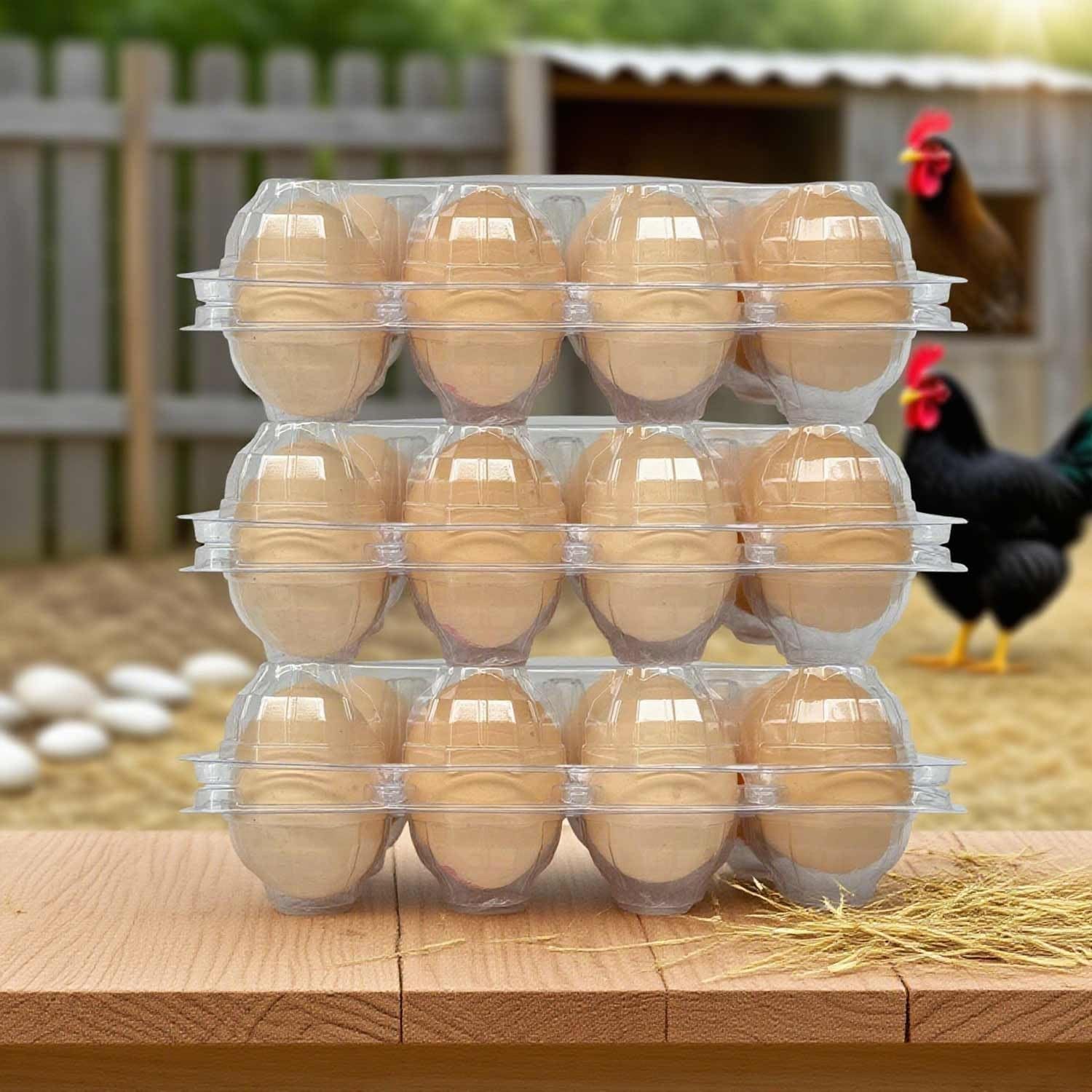 100 Packs Egg Cartons Cheap Bulk Plastic for 12 Eggs Clear Egg Cartons