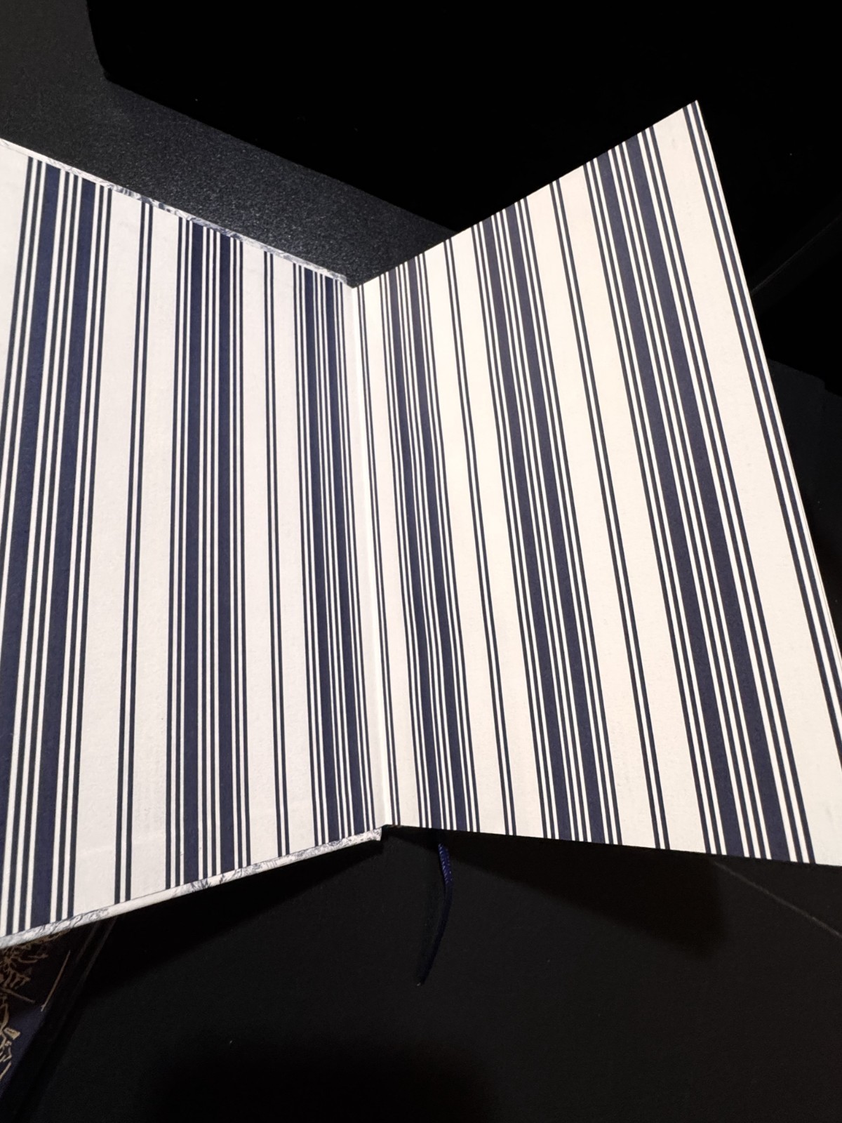 Christian Dior Notebook NEW Journal novelty GWP