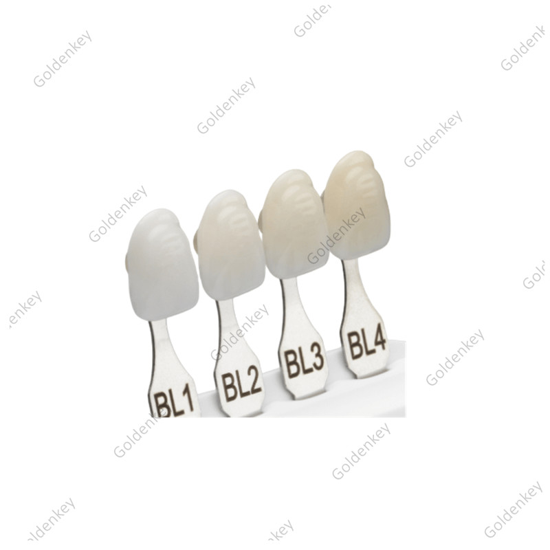 Dental Bleach Shade Guide BL1 4Colors Bleached Chart Teeth Based Vita US STOCK