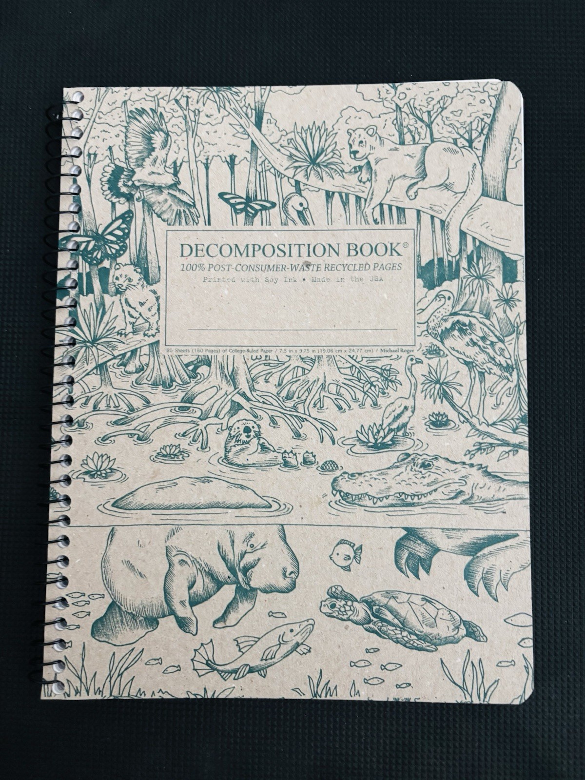 Everglades Decomposition Book: 100 Page College Ruled Composition Notebook Lined