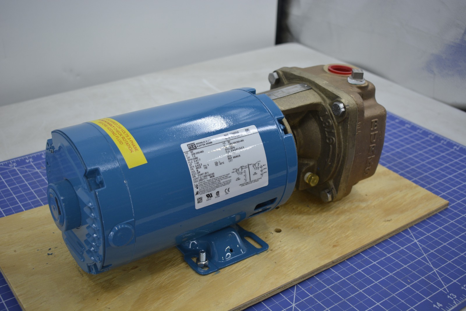 147790/ PUMP, TH FSHR 099123, 1HP, 50-60-3, 310CS5M-AB-03 HI TEMP/ BURKS PUMPS