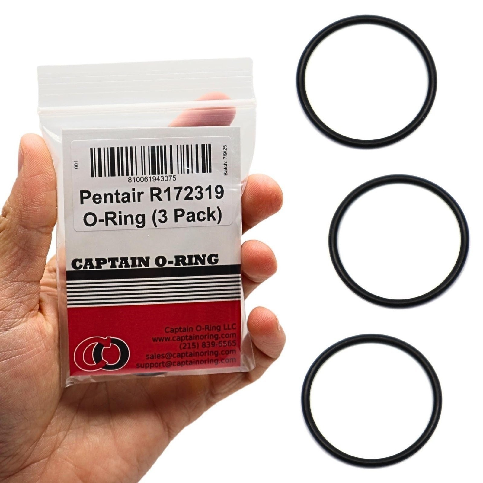 R172319 Bottom O-Rings for Pentair Rainbow 320/322 Feeder (3 Pack)