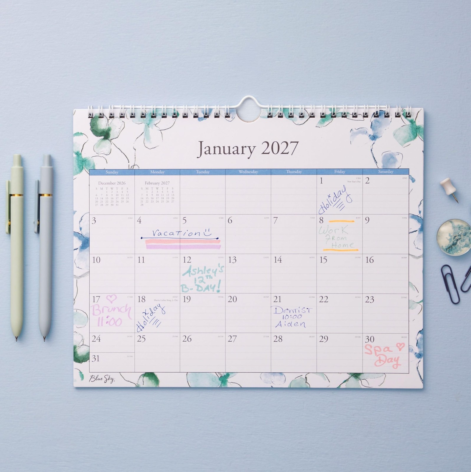 Blue Sky 2027 Monthly Wall Calendar, January 2027 – December 2027, Durable Tw…