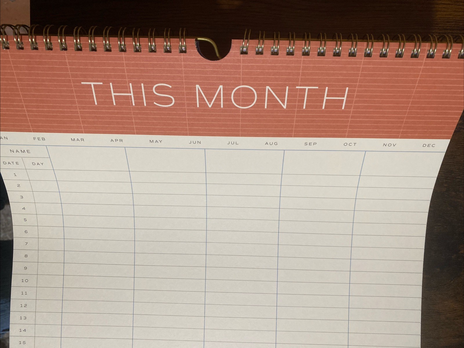 Papier Home Planner Undated 12 Monthly Pages Wall Hanging Will Ship Rolled