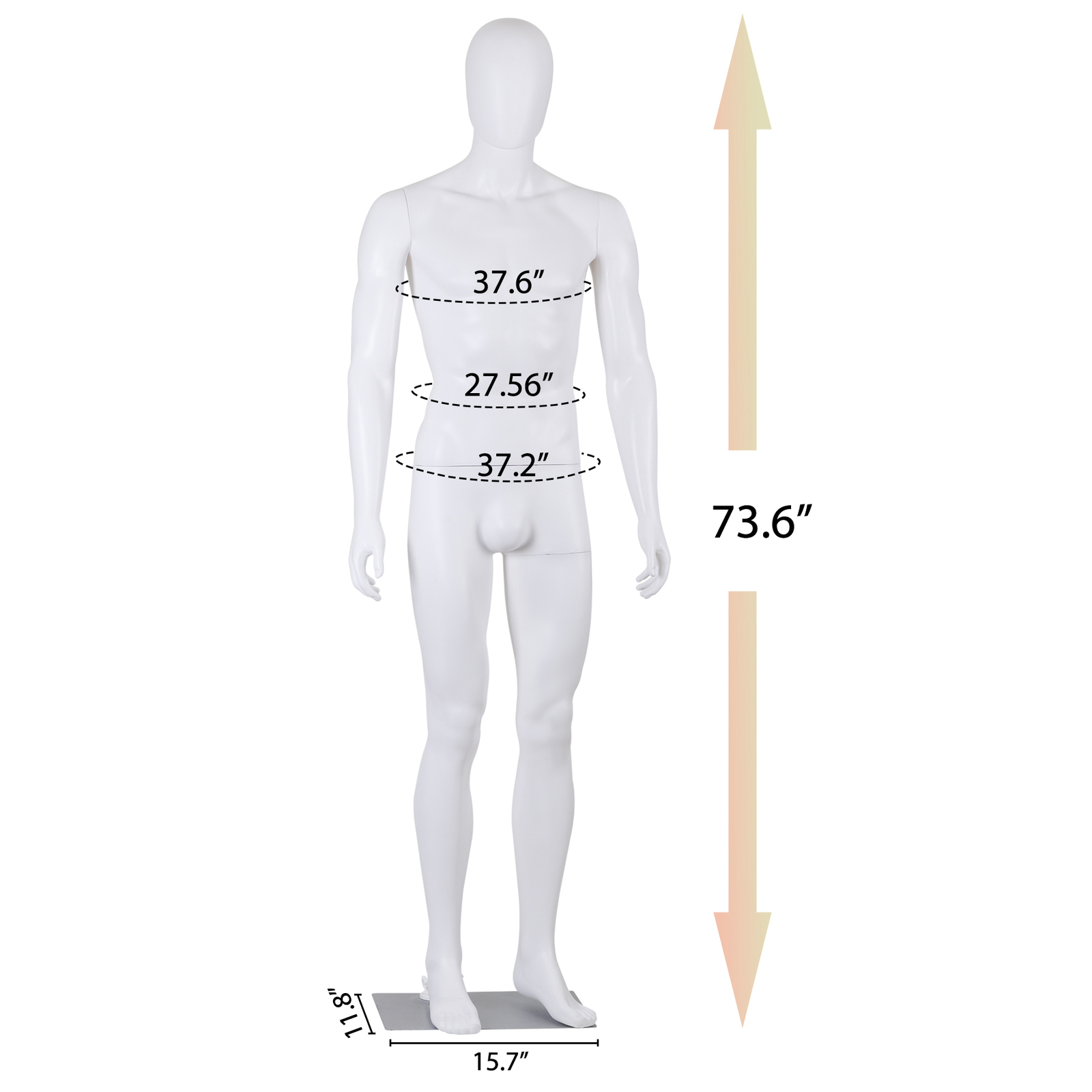 Male Mannequin Dress Form 73″ Adjustable Stand w/Base White Mannequin Full Body