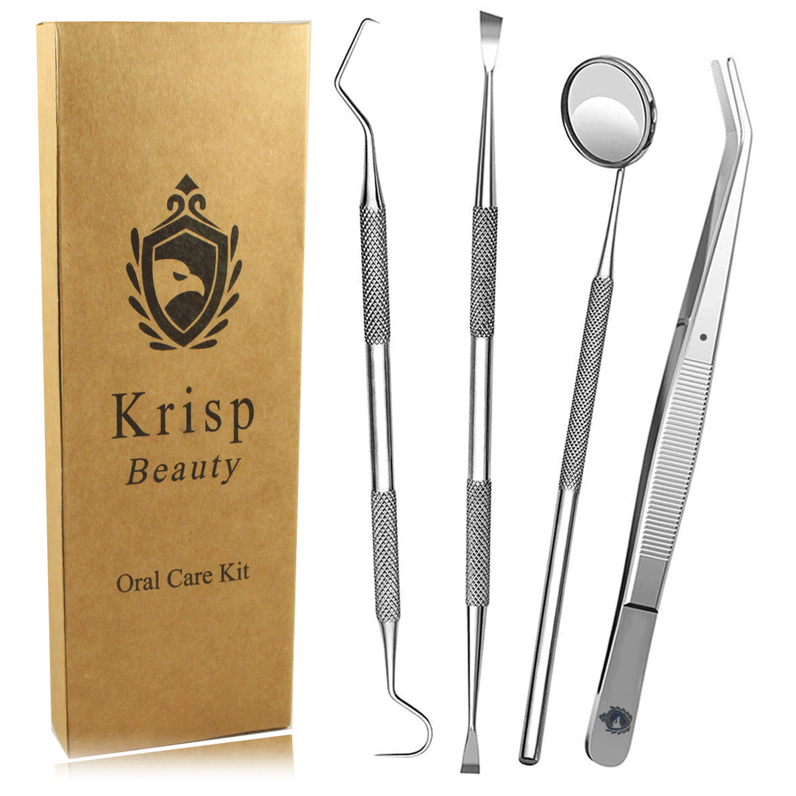 DENTAL DOG PETS TEETH CLEANING SET DENTIST SCRAPER TOOTH PICK ORAL CARE KIT 4 PC