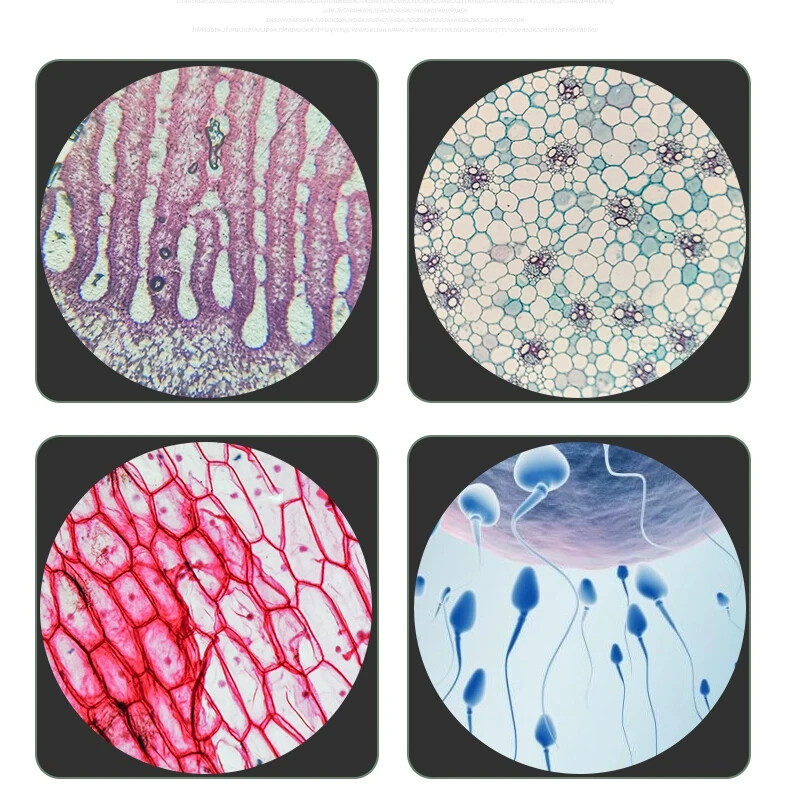 Biological Microscopes Achromatic Objective Lens 4X 10X 20X 40X 60X 100X 195mm