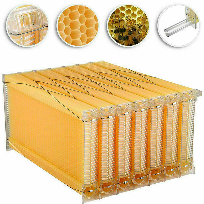 7pcs Auto Oozing Beehives Beekeeping Frames Honey Comb Frames Bee Frames