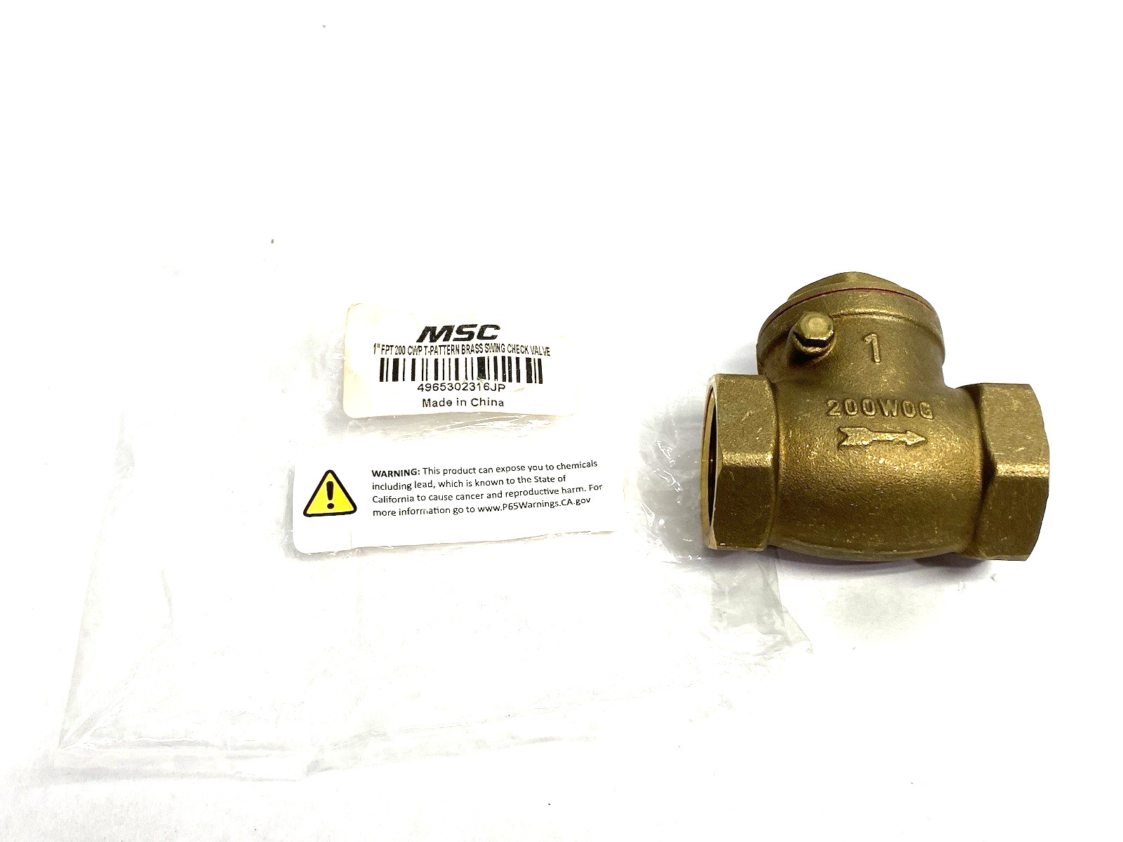 Value Collection 38080784 Check Valve, 1″ Pipe Check Swing, 4965302316JP