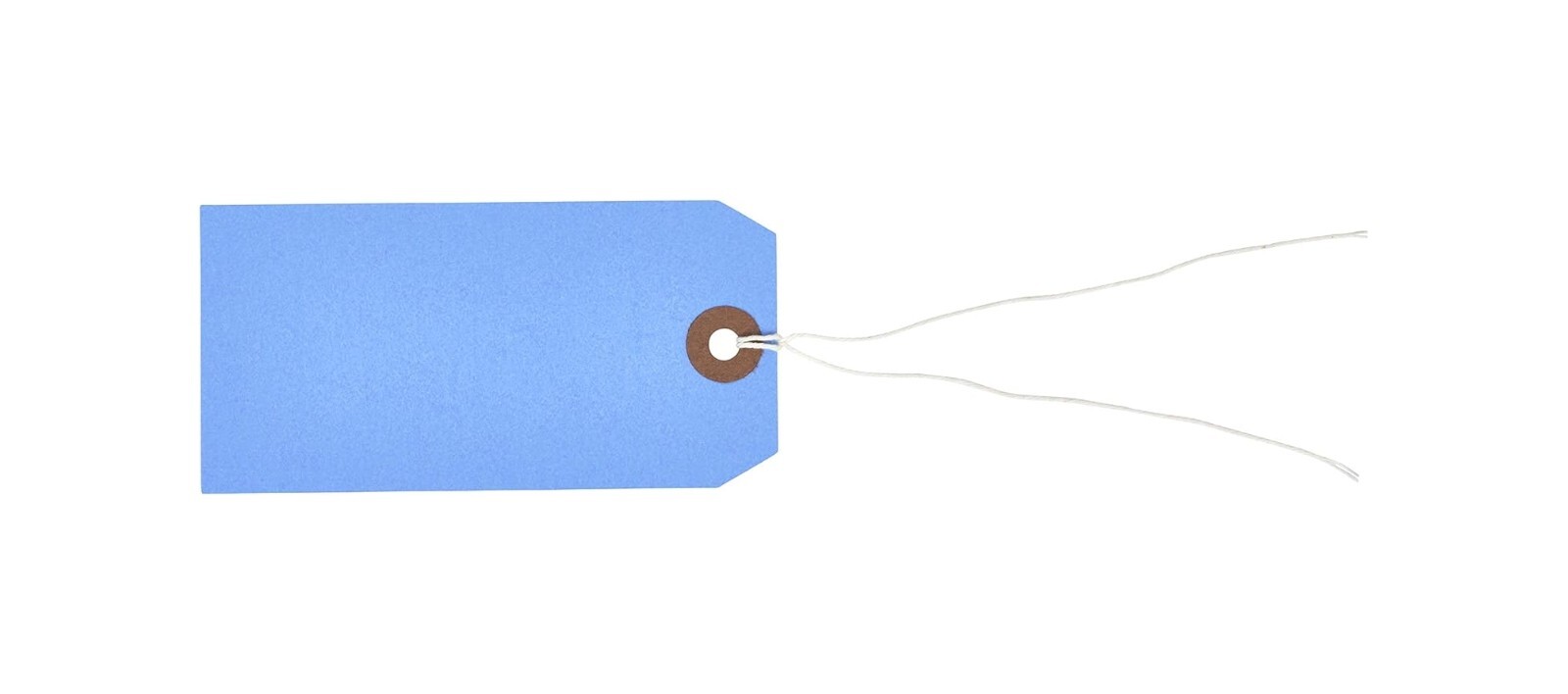 100 Blue Tags 4 3/4″ x 2 3/8″ Size 5 Inventory Shipping Hang Tag with String