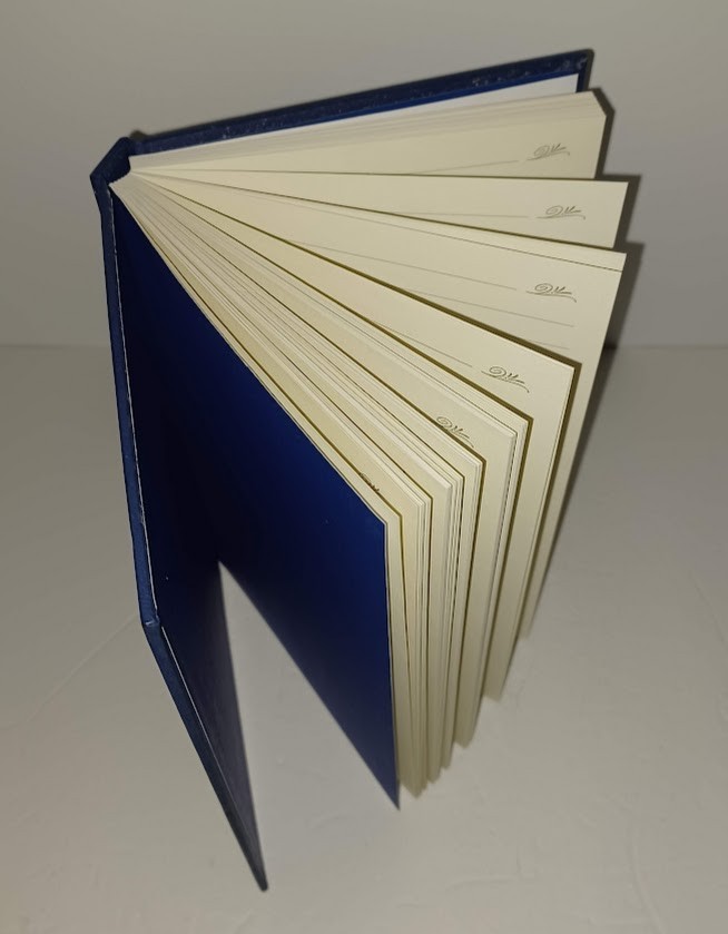 JOURNALS 2 Book Lot Set Markings Line Ruled Diary Pages Diaries Writing Thoughts