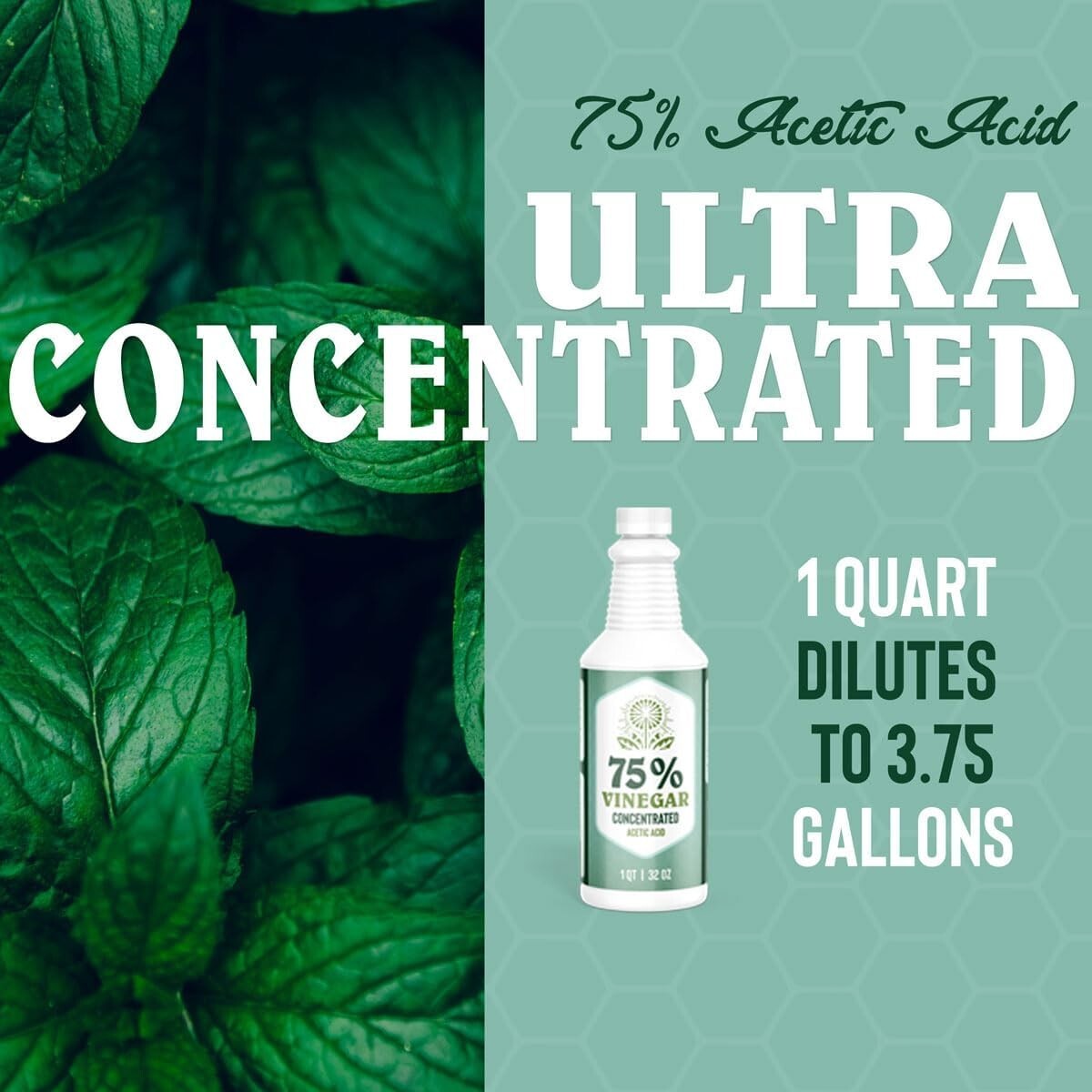 75% Vinegar – 1 Gallon – Concentrated Acetic Acid – Heavy Duty – USA Bulk