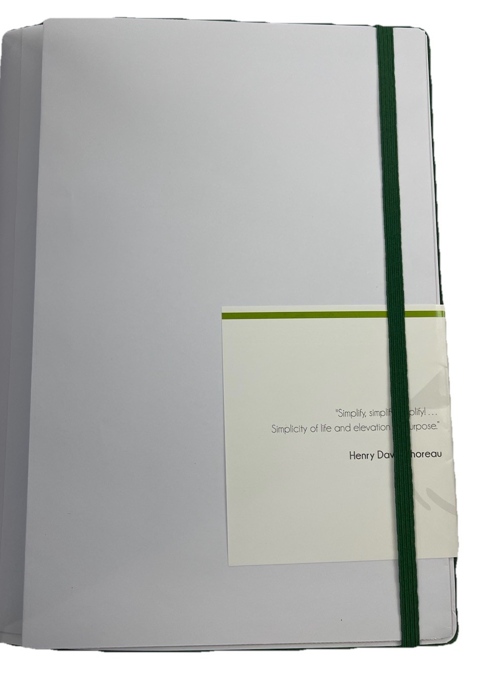 Panda Planner Soft PU Faux Leather Cover 6 Month Non-Dated Daily Planner/Green