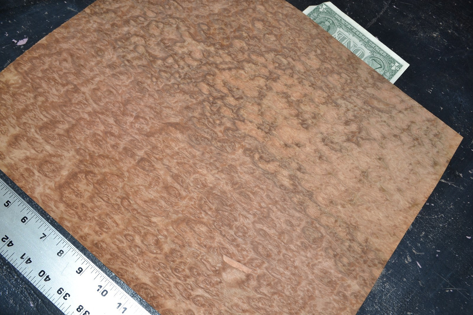 Eucalyptus Burl Raw Wood Veneer Sheet 15 x 18 inches 1/42nd 7659-33