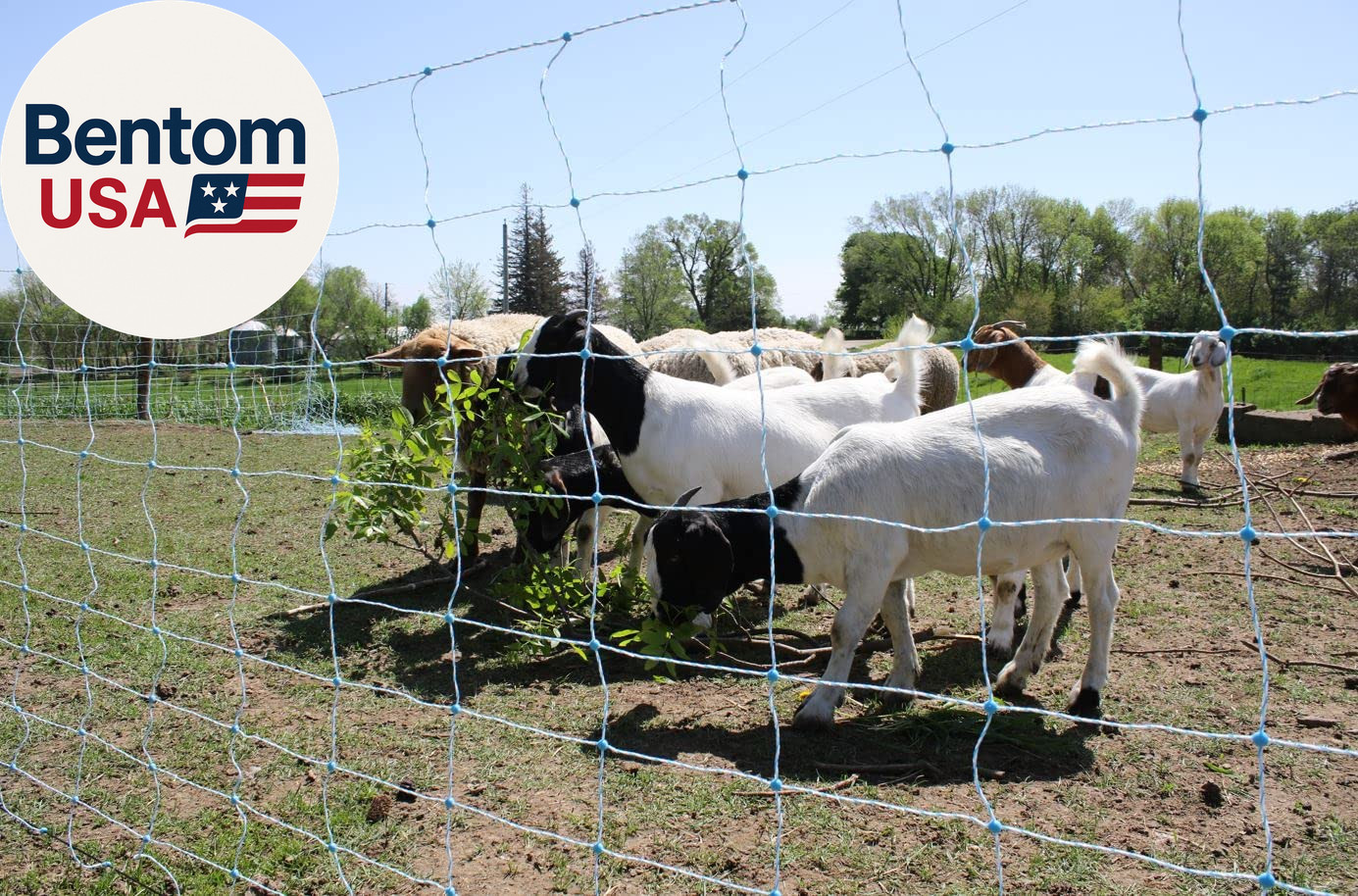42″ X 164′ Electric Netting All-In-One Solar Kit for Goats, Sheep, Gardens, Beeh