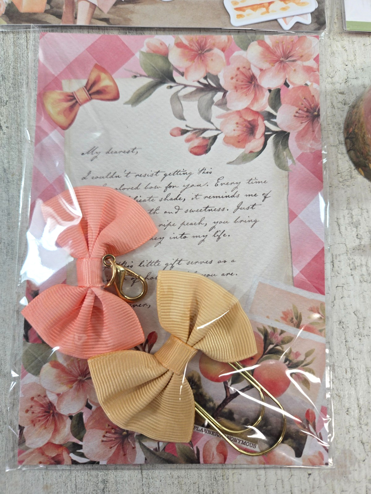 Planners Anonymous Peach Promenade Planner Kit