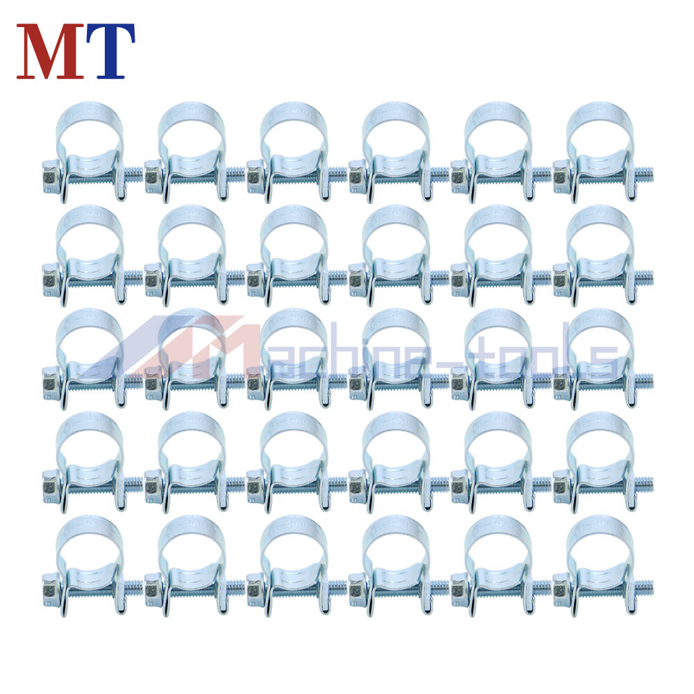 30 Pack High Quality 1/4 Inch Fuel Injection Hose Clamp Auto Fuel Clamps