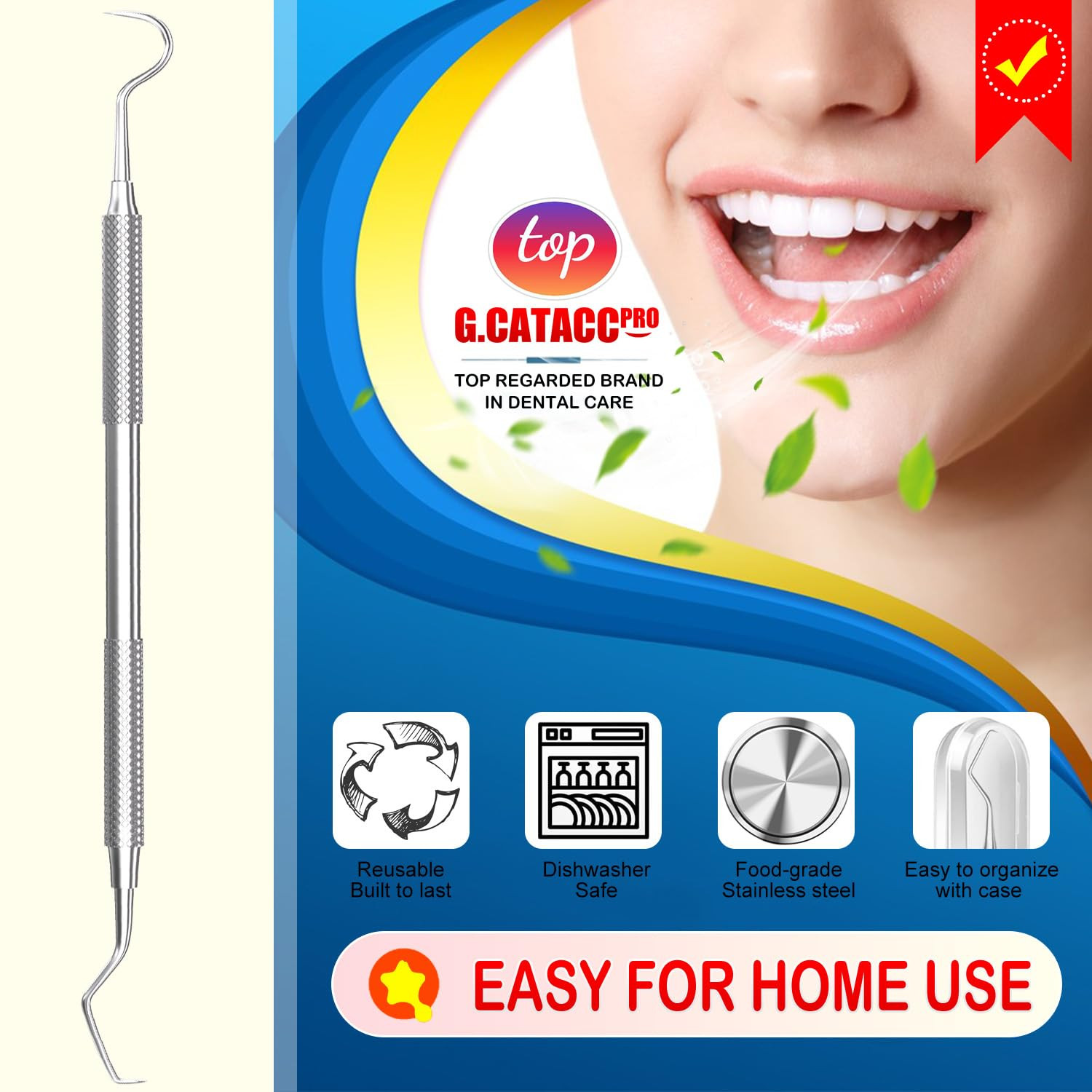 Dental Tool Metal Dental Pick Stainless Steel Tooth Scraper Plaque Tatar Remov
