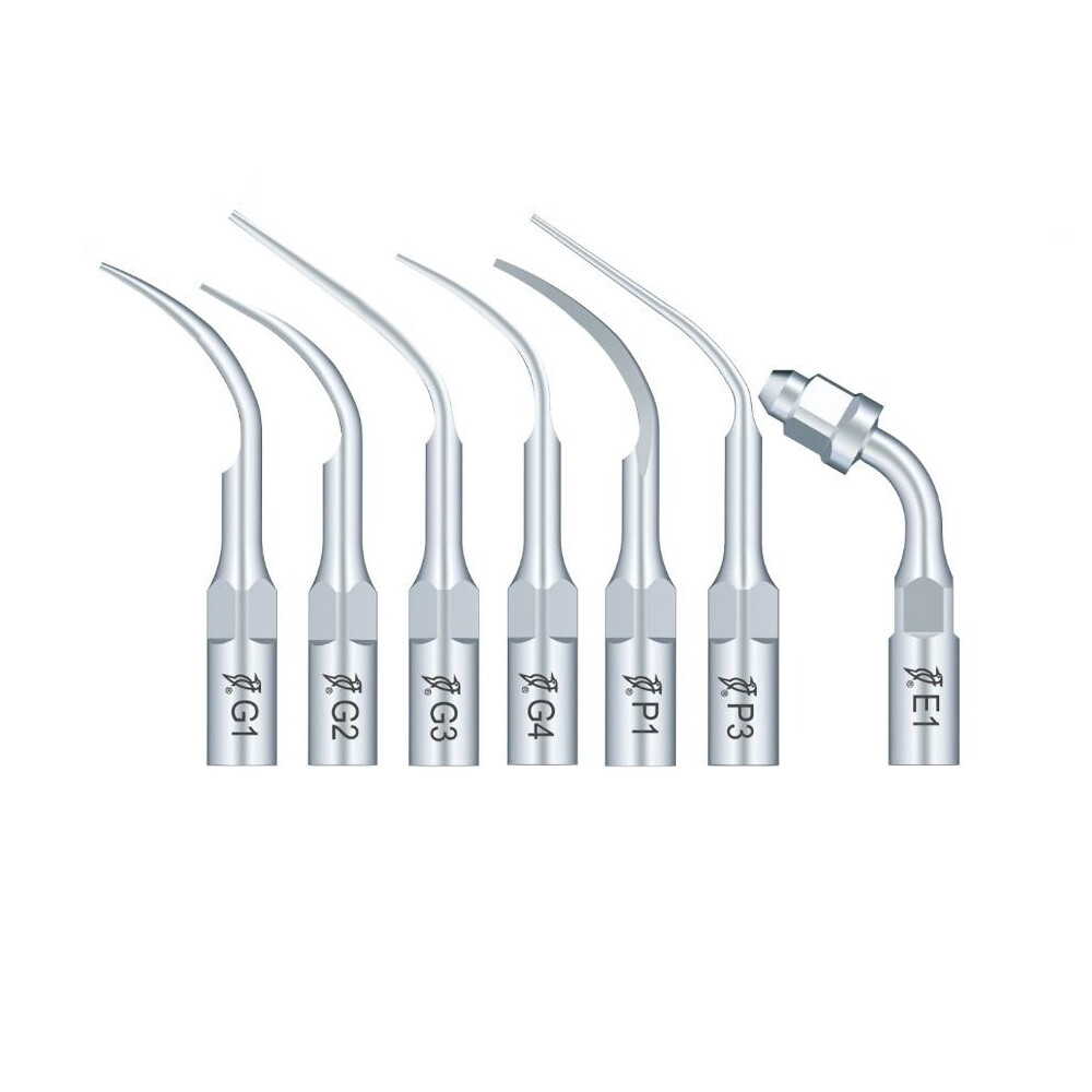 Woodpecker EMS Dental Ultrasonic Piezo Scaler Perio Tips G1 E10 P1 G2 E12 G20