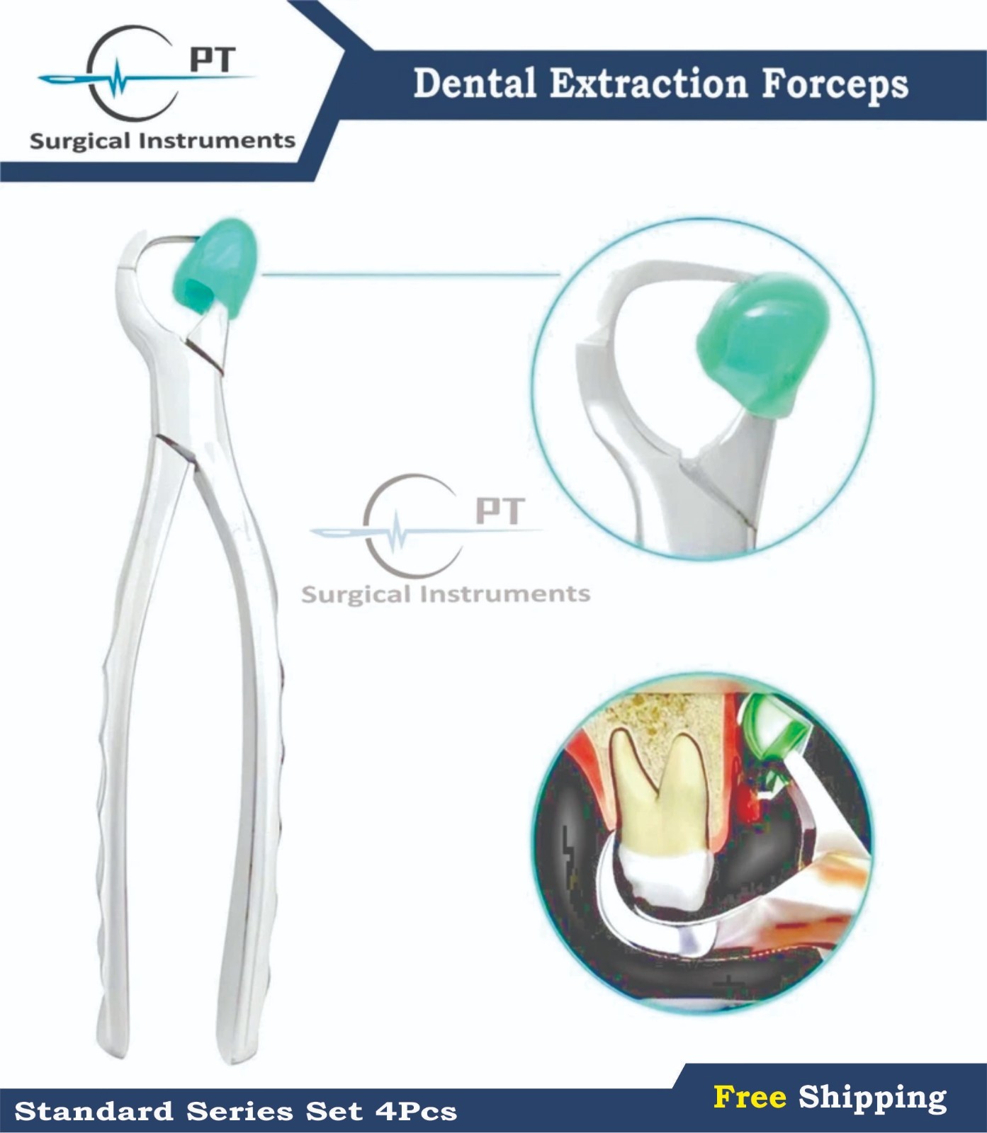 Dental Extraction Physics Forceps Standard Series Set Of 4 Pcs 45 Free Bumpers