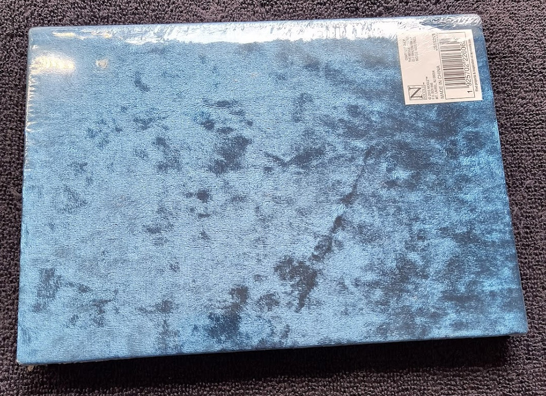 Journal w/ dark blue crushed velvet cover – journal diary stationery goth whimsy