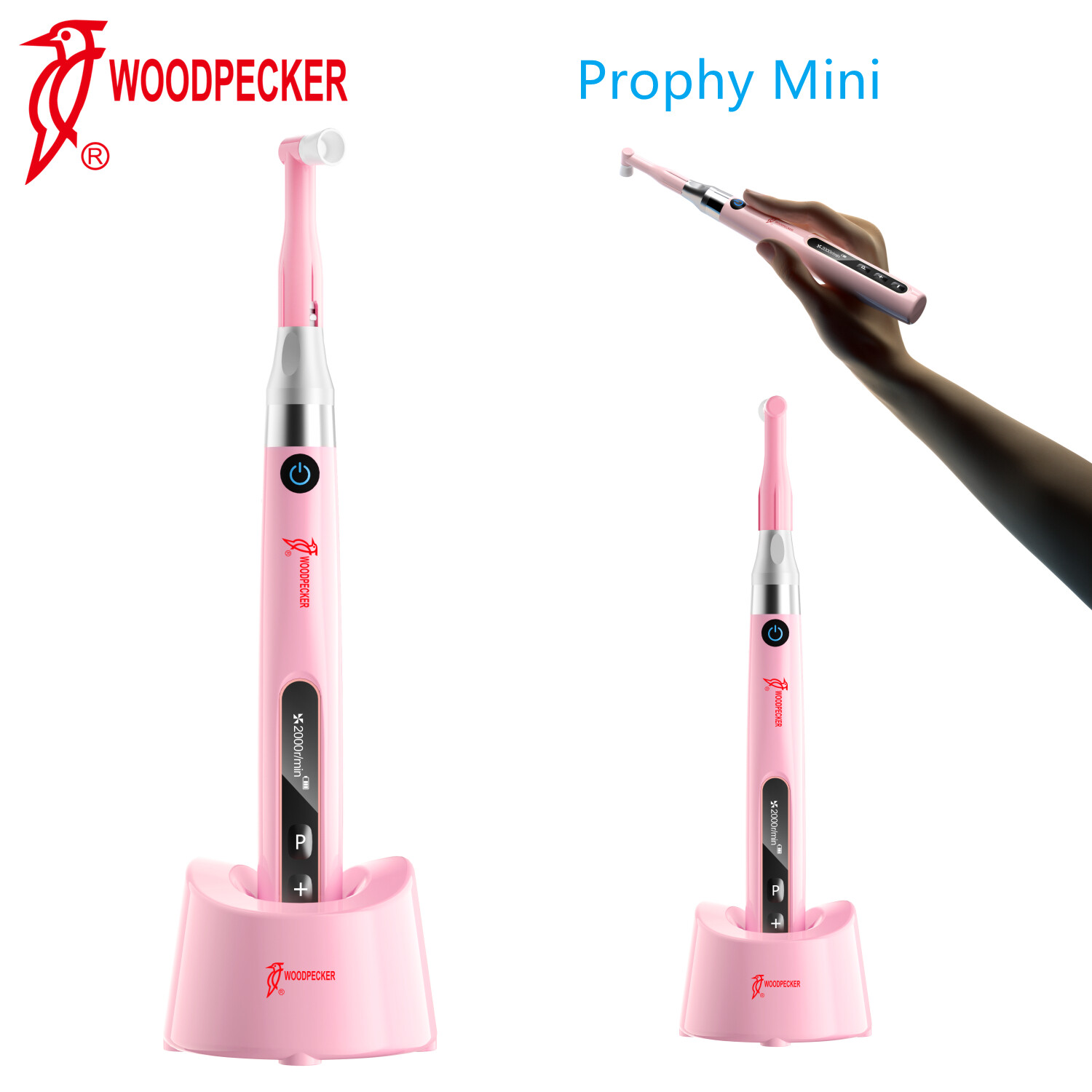 Woodpecker Prophy Mini Dental Cordless Hygiene Handpiece & 100 Prophy Angles 5V
