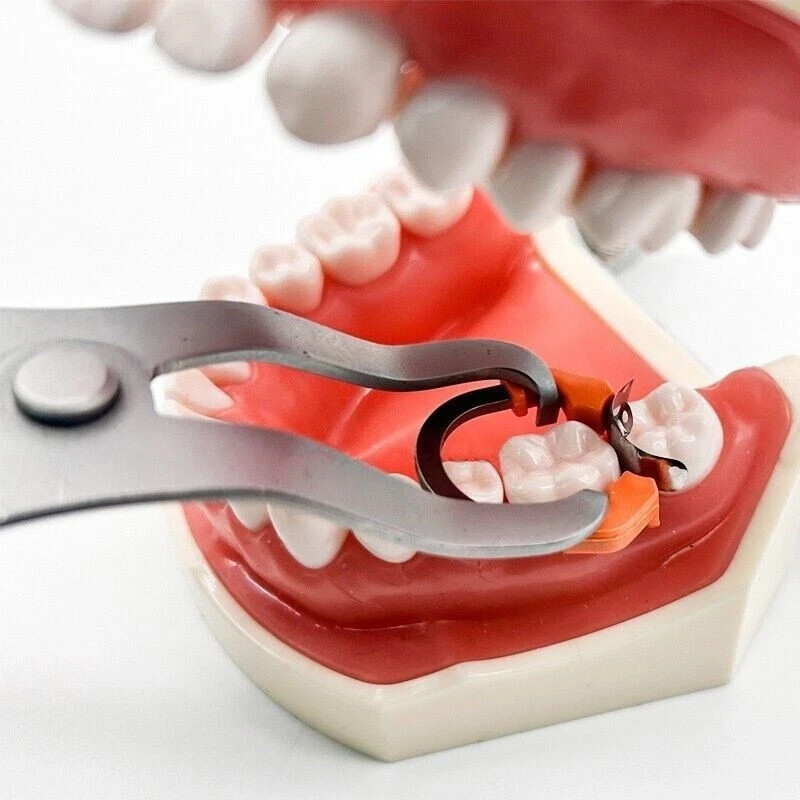 Dental Matrix Bands Ring Sectional Matrice Clamp Fit Garrison Palodent V3 System
