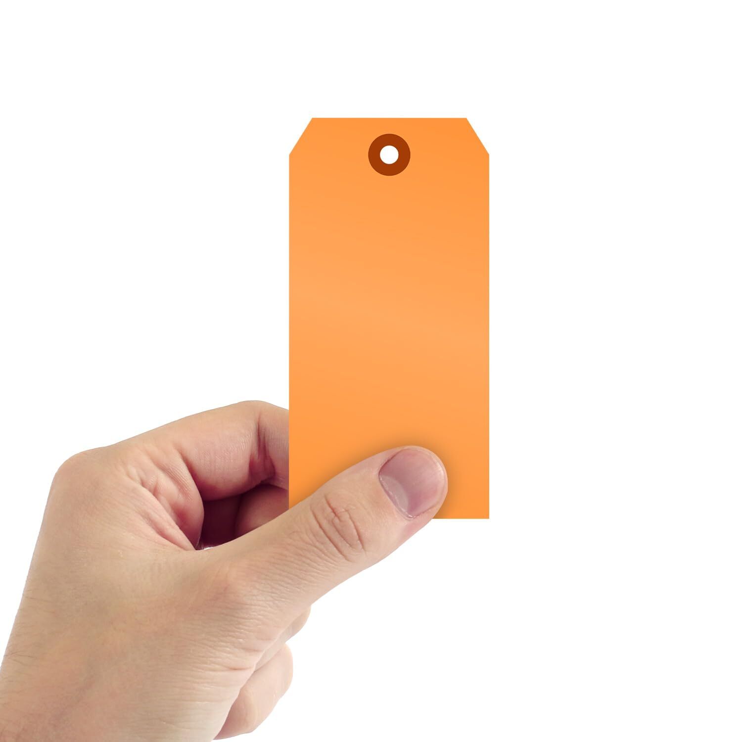 Fluorescent Orange Blank Tags with Pre-Punched Hole – 100-Pack 4.75″ x 2.375″…