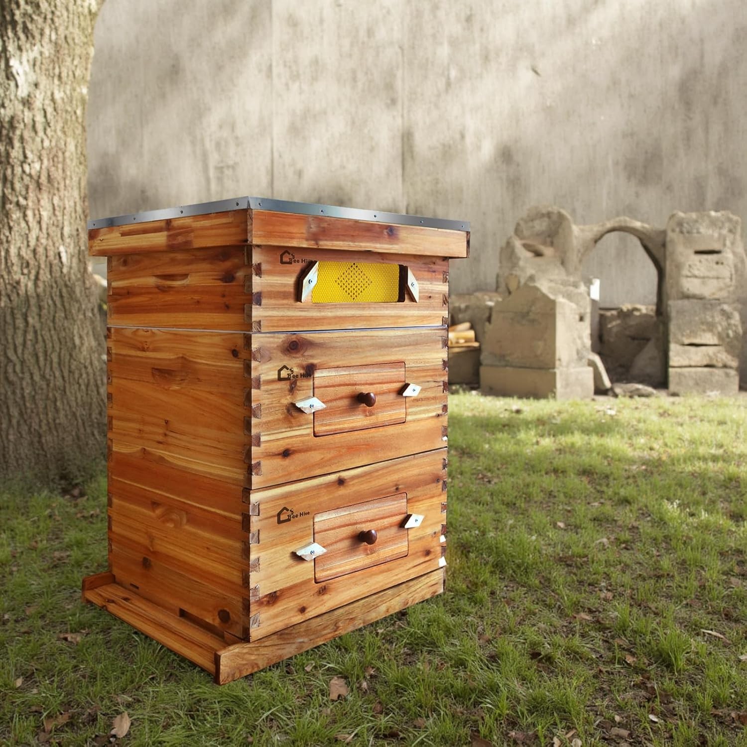 10 Frame Bee Hive Kit with Beeswax Coating, 2 Deep & 1 Medium Box for Beginners