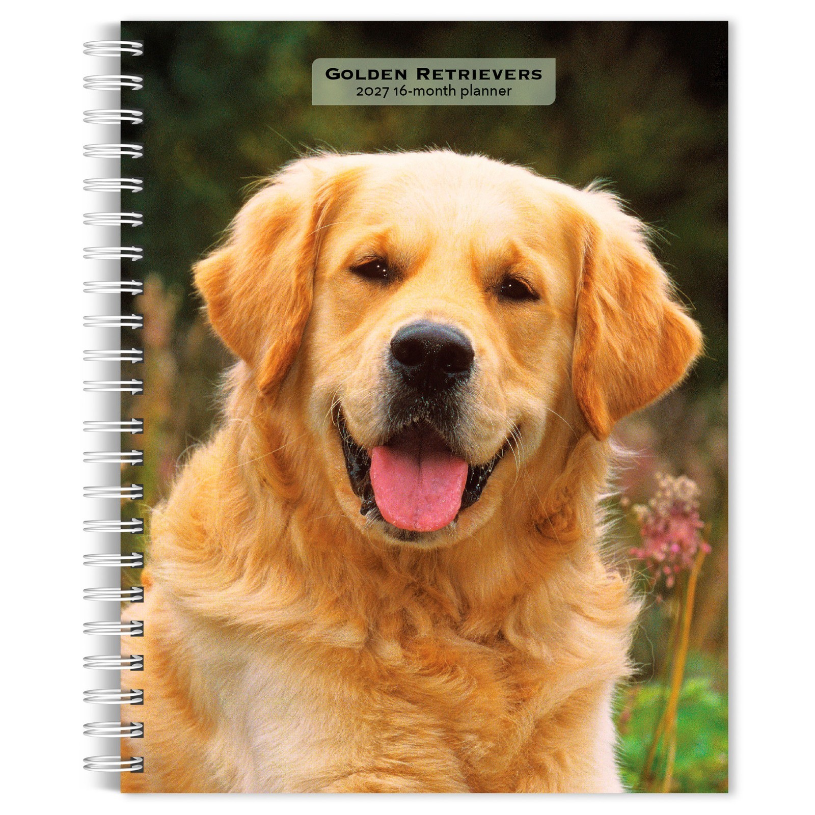 Golden Retrievers | 2027 6×7.75″ Spiral-Bound Wire-O Engagement Planner Calendar