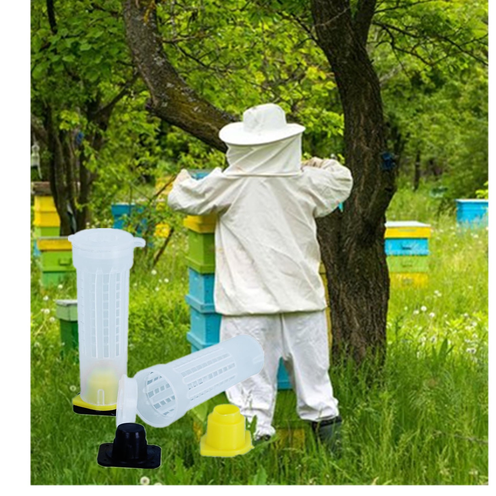 30pcs Queen Bee Roller Cages -Plastic Beekeeping Rearing Cup Kit Queen bee Ro…