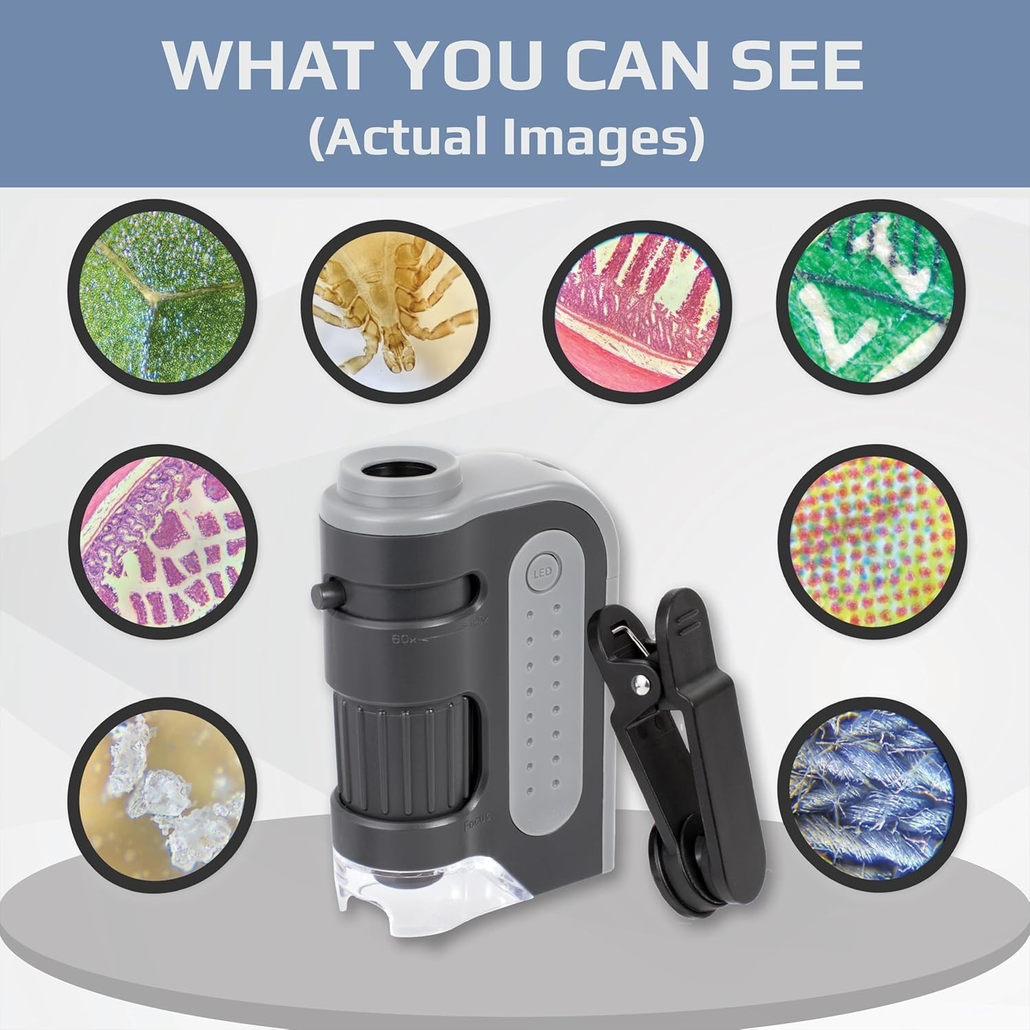 60x-120x LED Pocket Microscope Portable Handheld Mini Student Science Lab STEM
