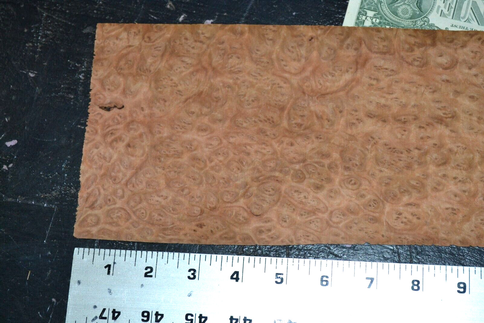 Eucalyptus Burl Raw Wood Veneer Sheets 5 x 13 inches 1/42nd 5940-11