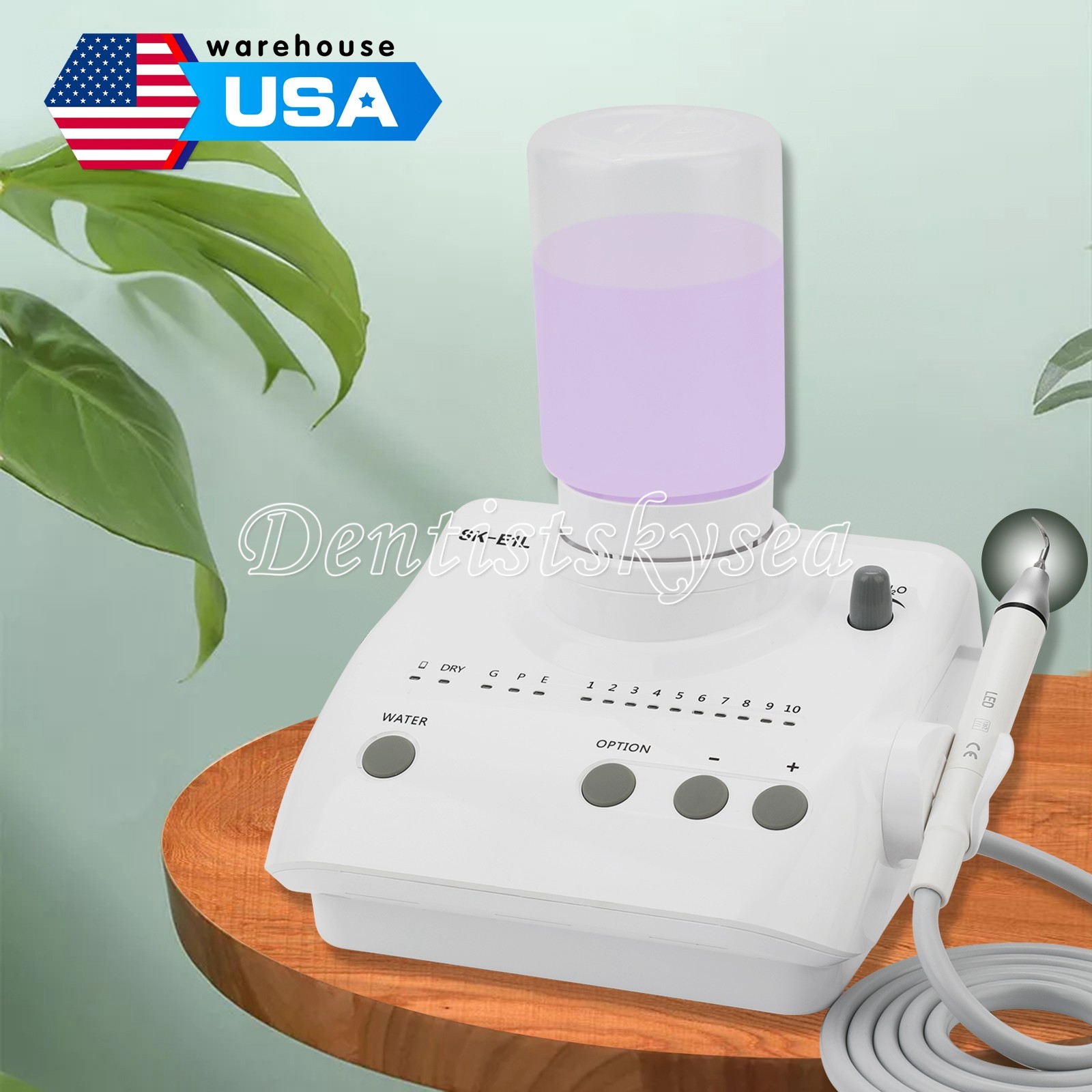 LED Ultrasonic Dental Scaler Household Pet Cleaning Set 2* Bottle and 5*tips