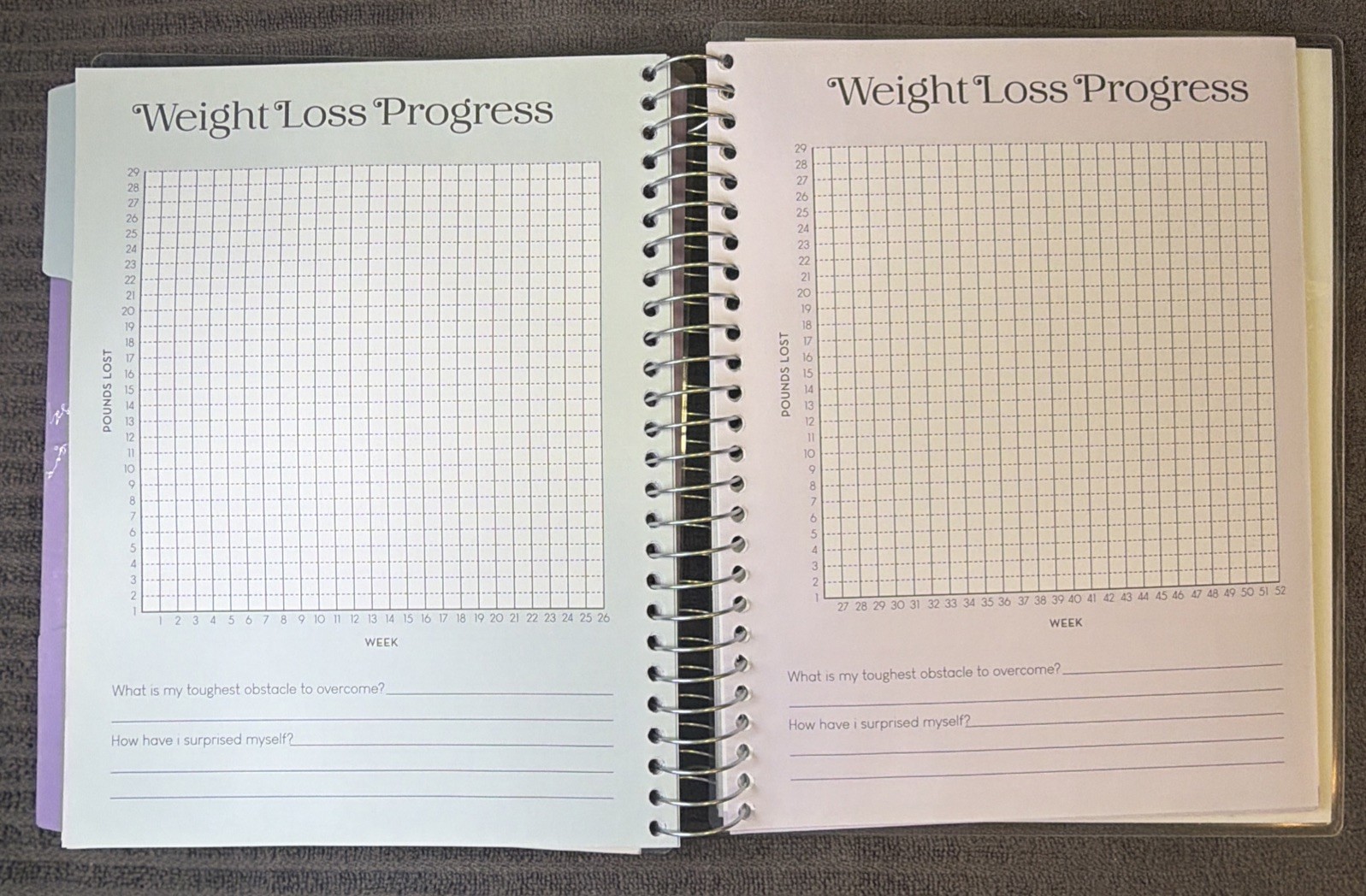 Pembrook 12 Month Wellness Planner Fitness Workout Tracker Book Journal Undated