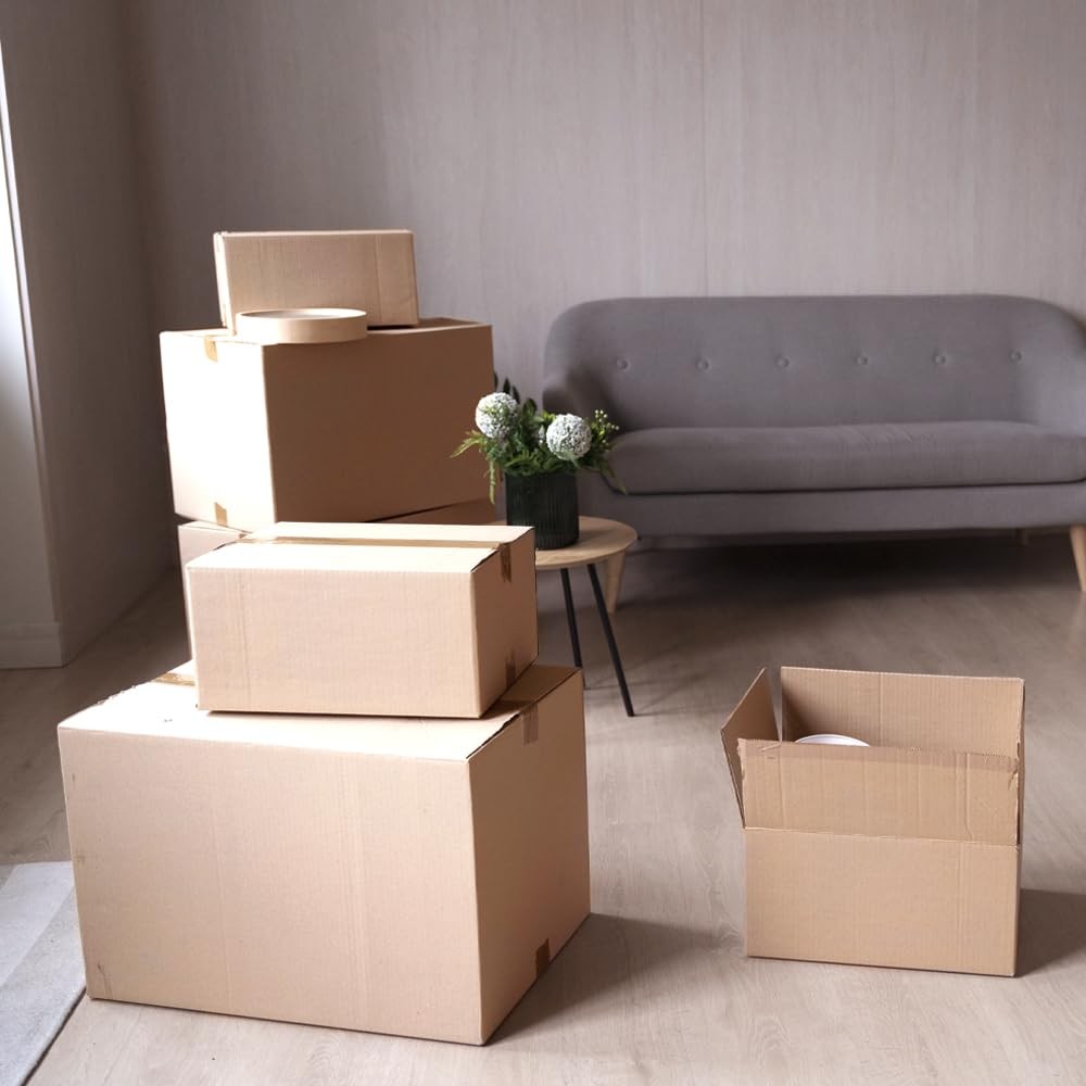 Pack of 25 Reinforced Boxes measuring 31x22x20 cm and Single Shaft…