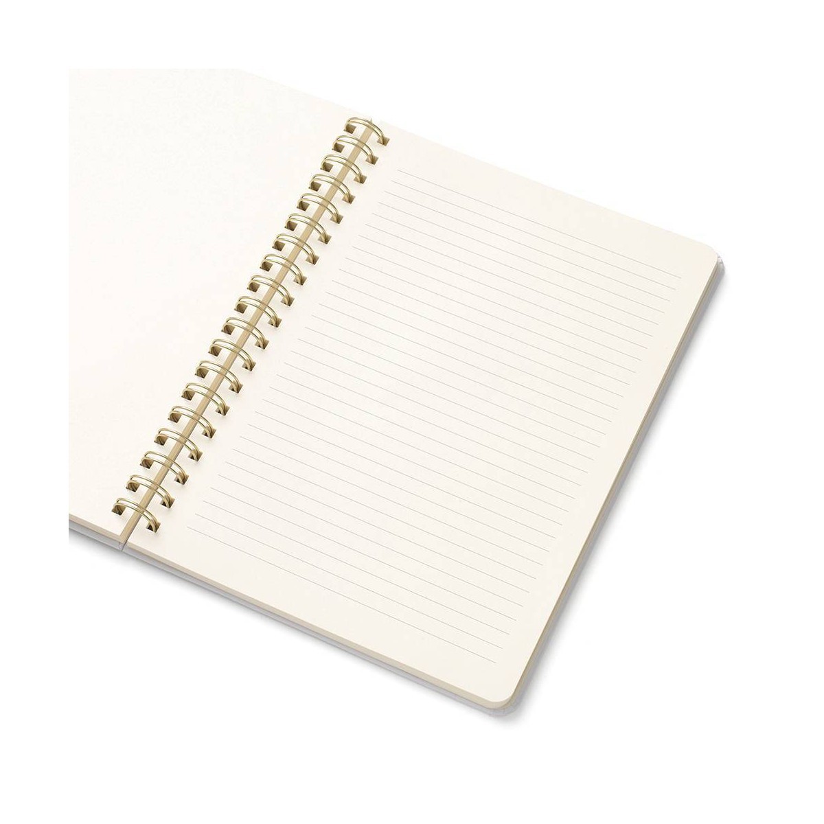 PAPIER 7″x9.875″ Essential Notes Stripe B5 Spiral Notebook 150 Pages