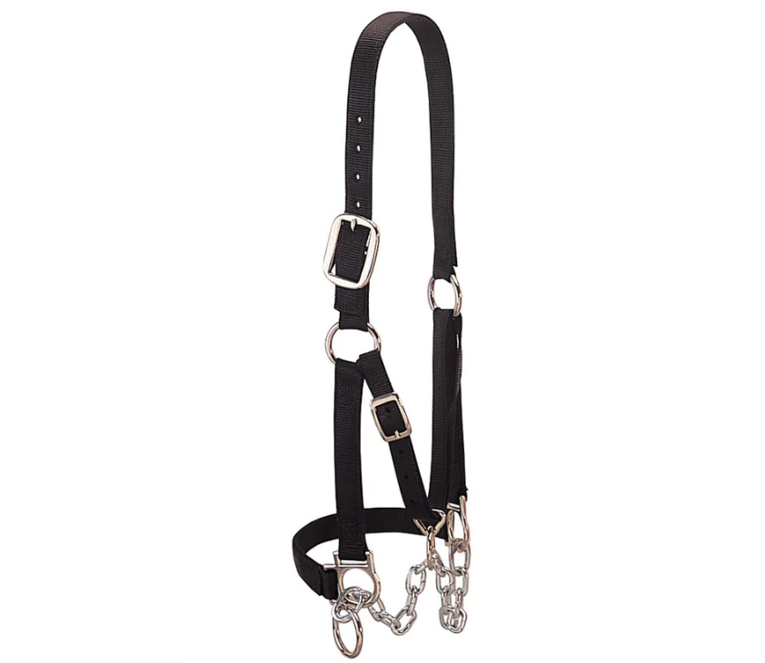 Weaver Livestock Heavy Duty Black Cattle Halter Medium w/ Chain Lead Adjustable
