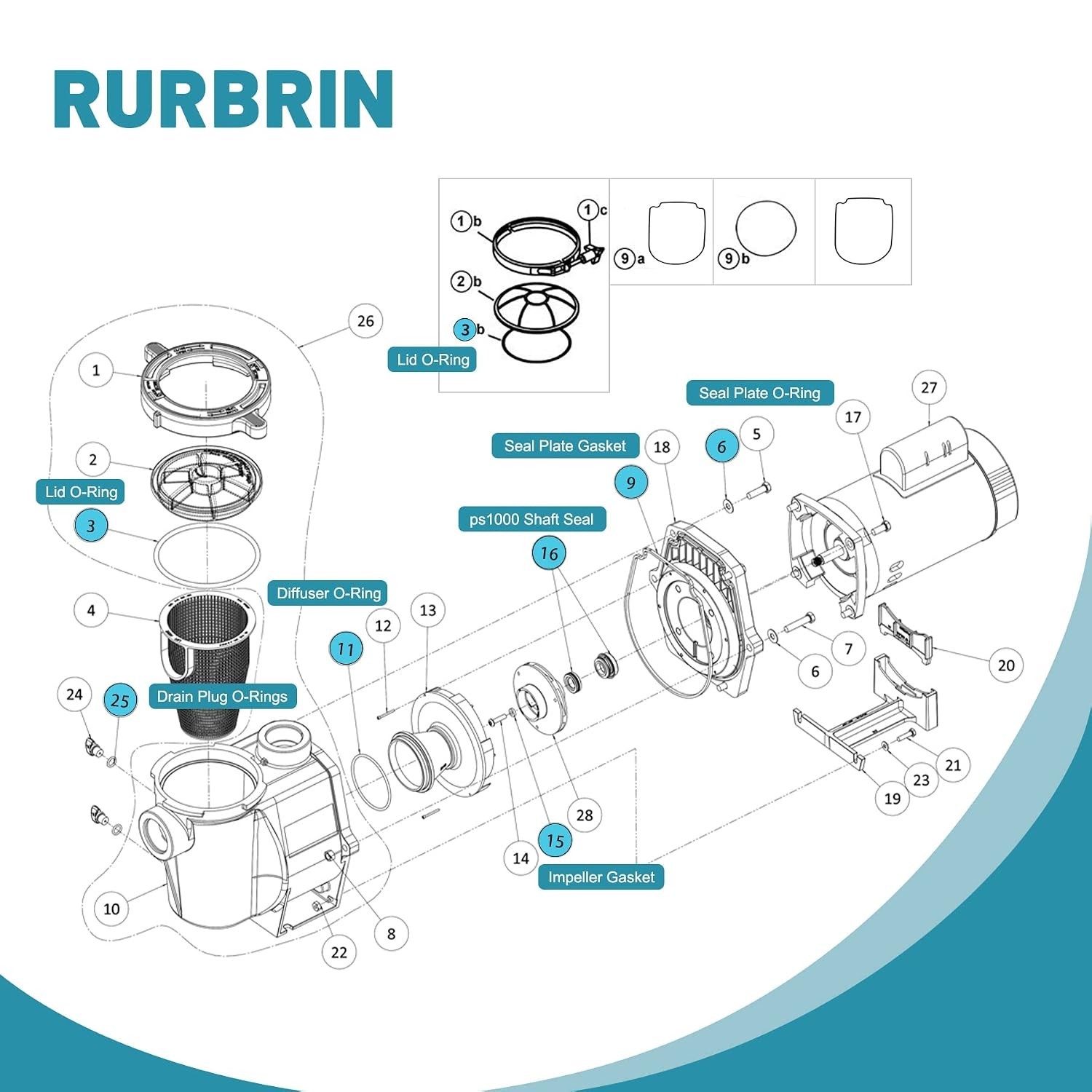 7-Piece O-Ring Repair Kit for Pentair Pumps – Black Rubber, Easy Installation