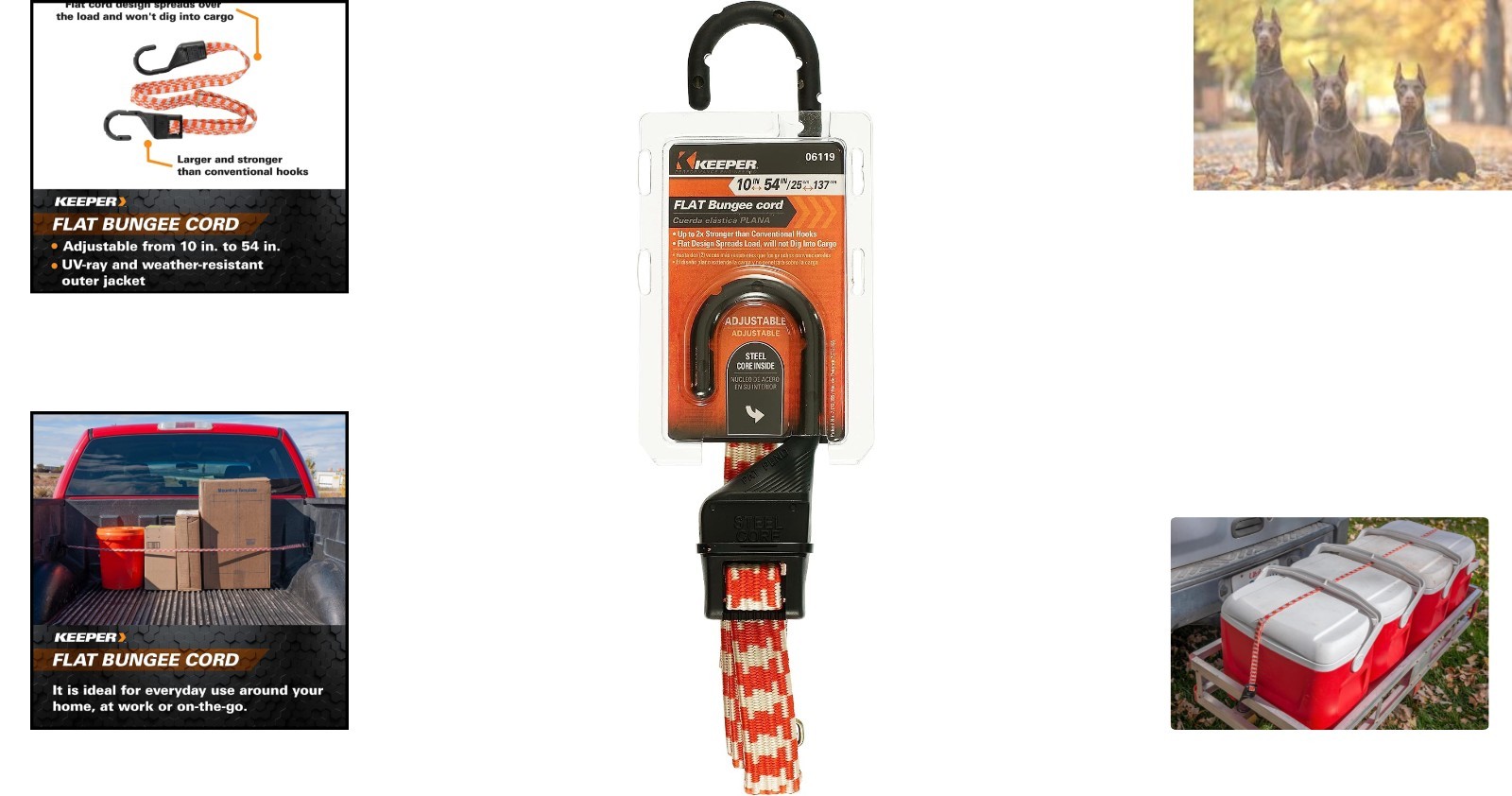 Durable Adjustable Bungee Cord 10 to 54 in | Vibrant Multicolor, Strong Hooks