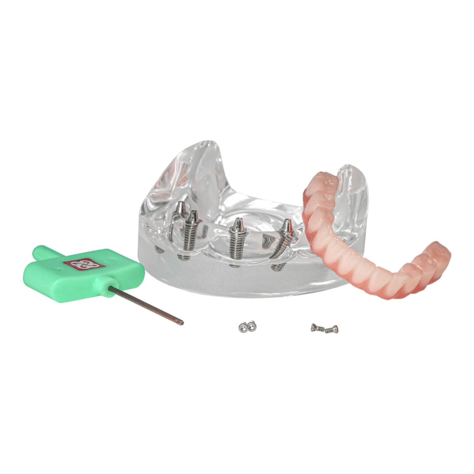 All-on-4/6 Dental Implant Model Upper/Lower Jaw Removable Screws Transparent